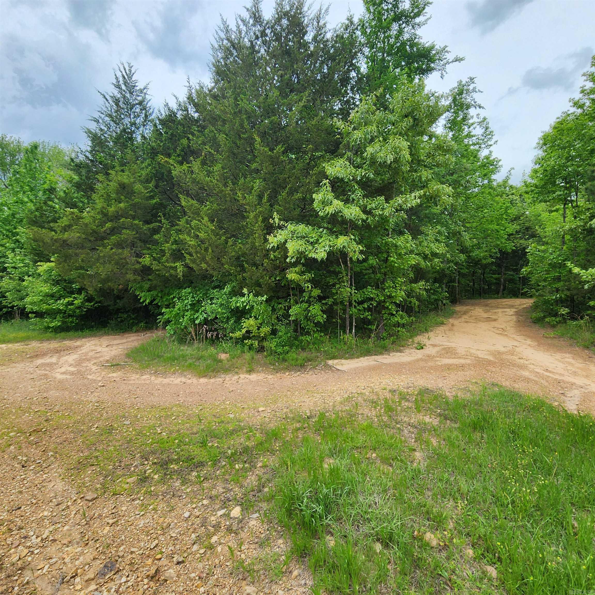 479  County Line  Rose Bud, AR