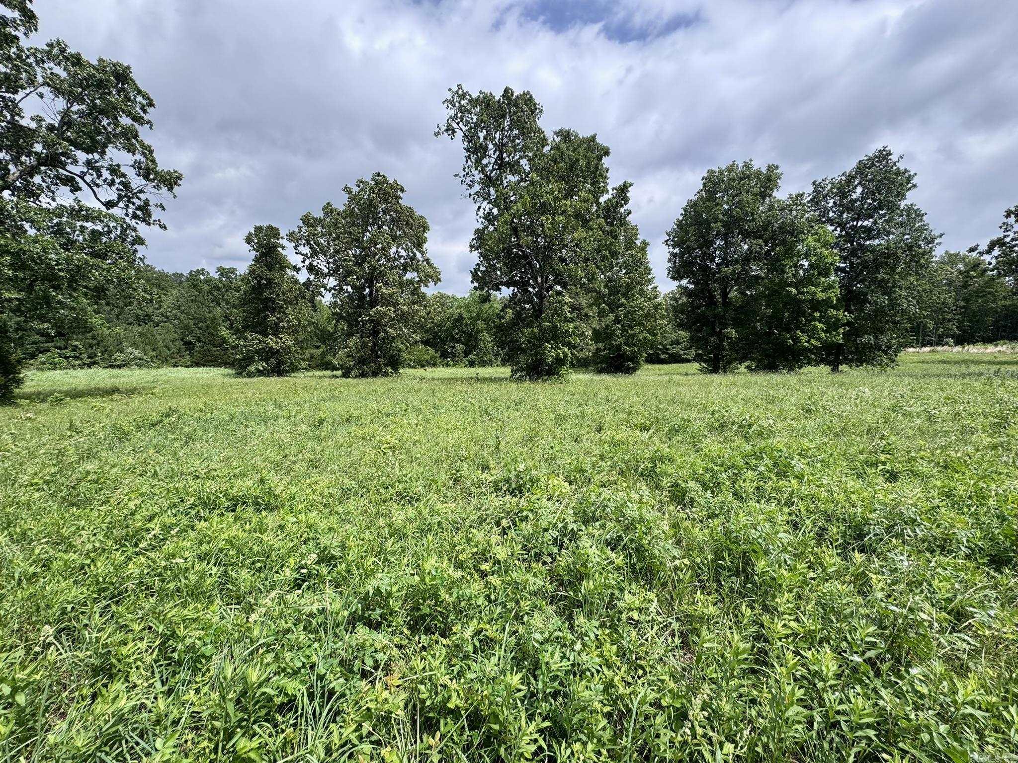 4A  Hwy 62  Highland, AR