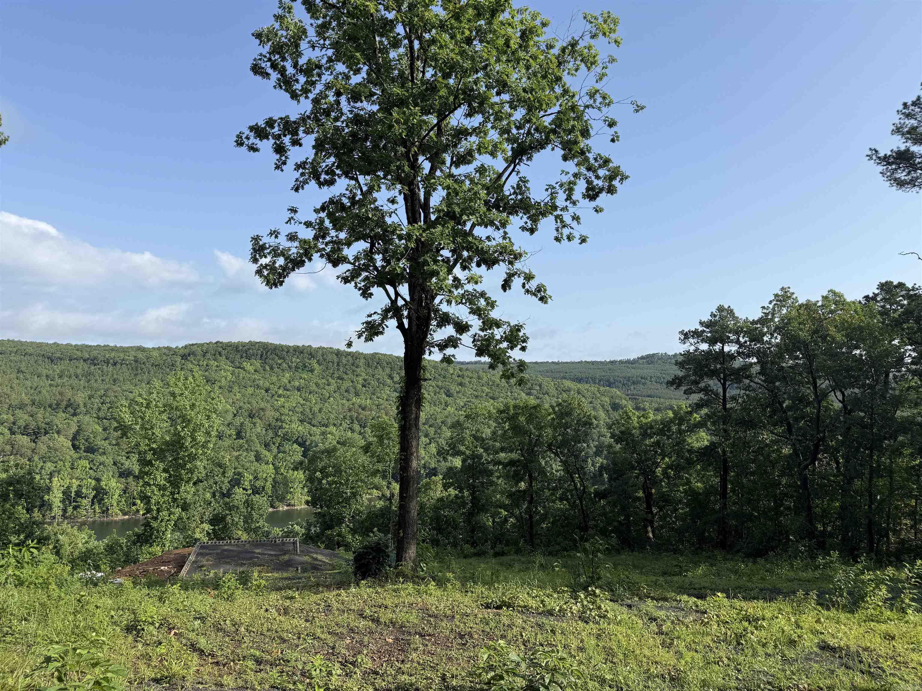 Lots 1,2,3,5  Island View Drive  Greers Ferry, AR