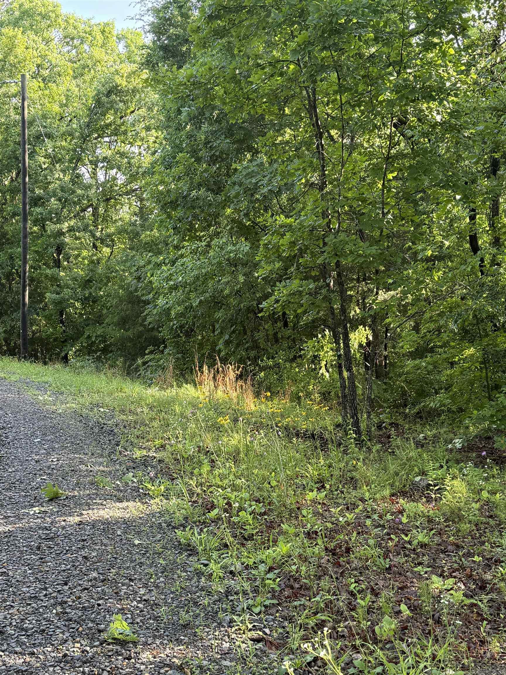 Lot 8  Island View Drive  Greers Ferry, AR