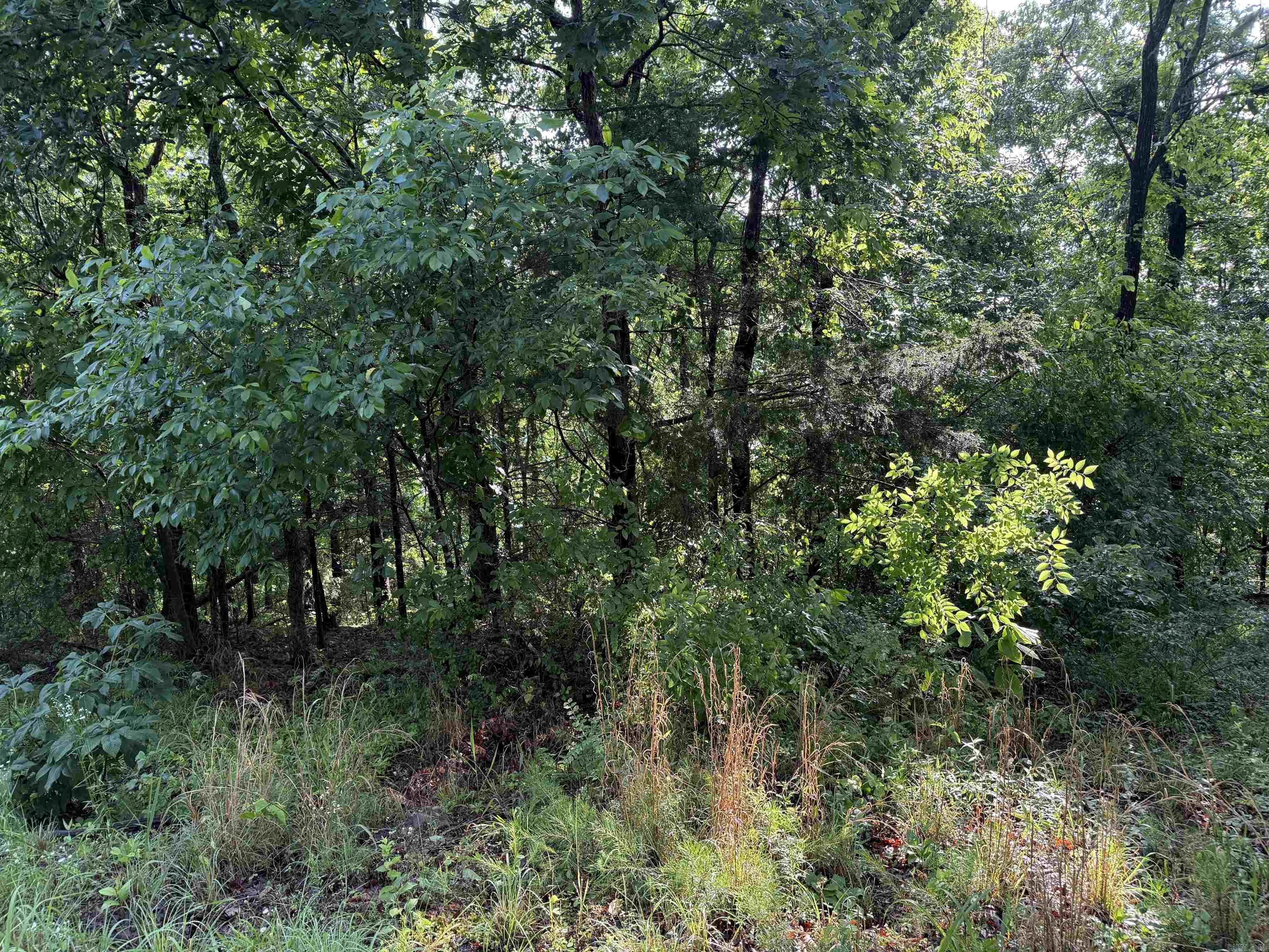 Lot 9  Island View Drive  Greers Ferry, AR