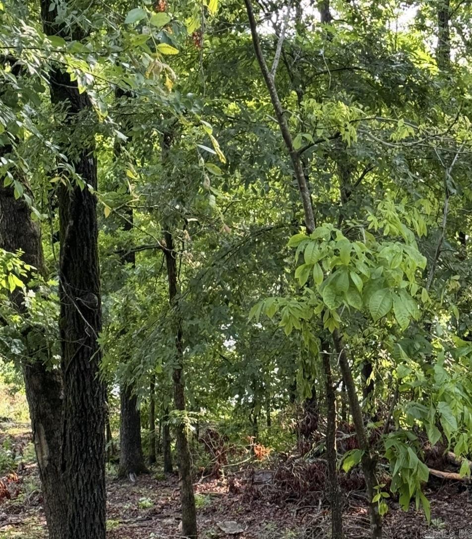 Lot 9  Island View Drive  Greers Ferry, AR