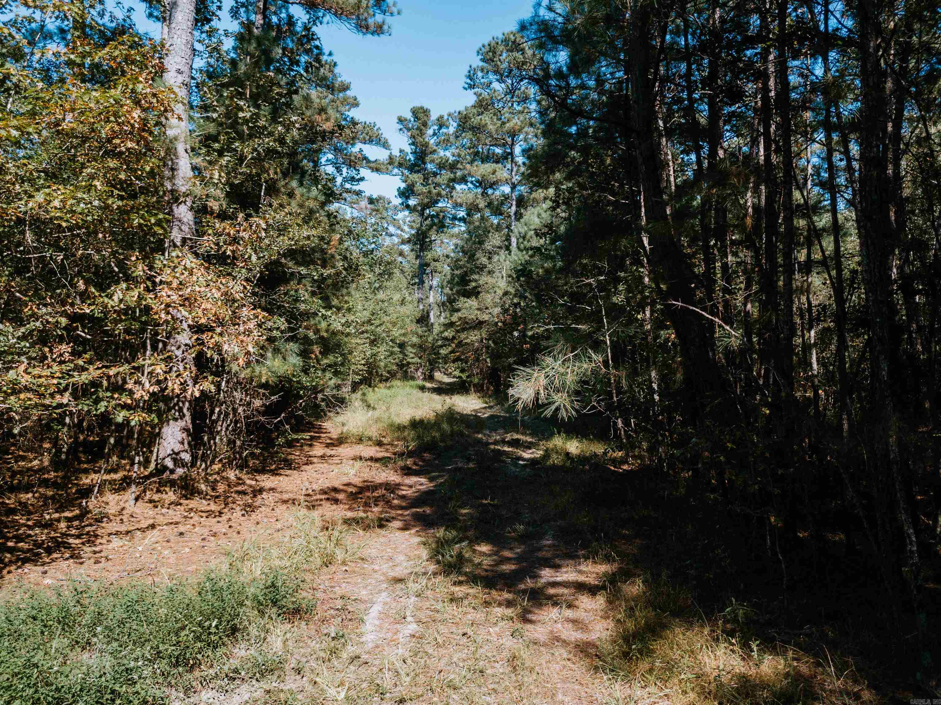 000  Opitz  Haskell, AR