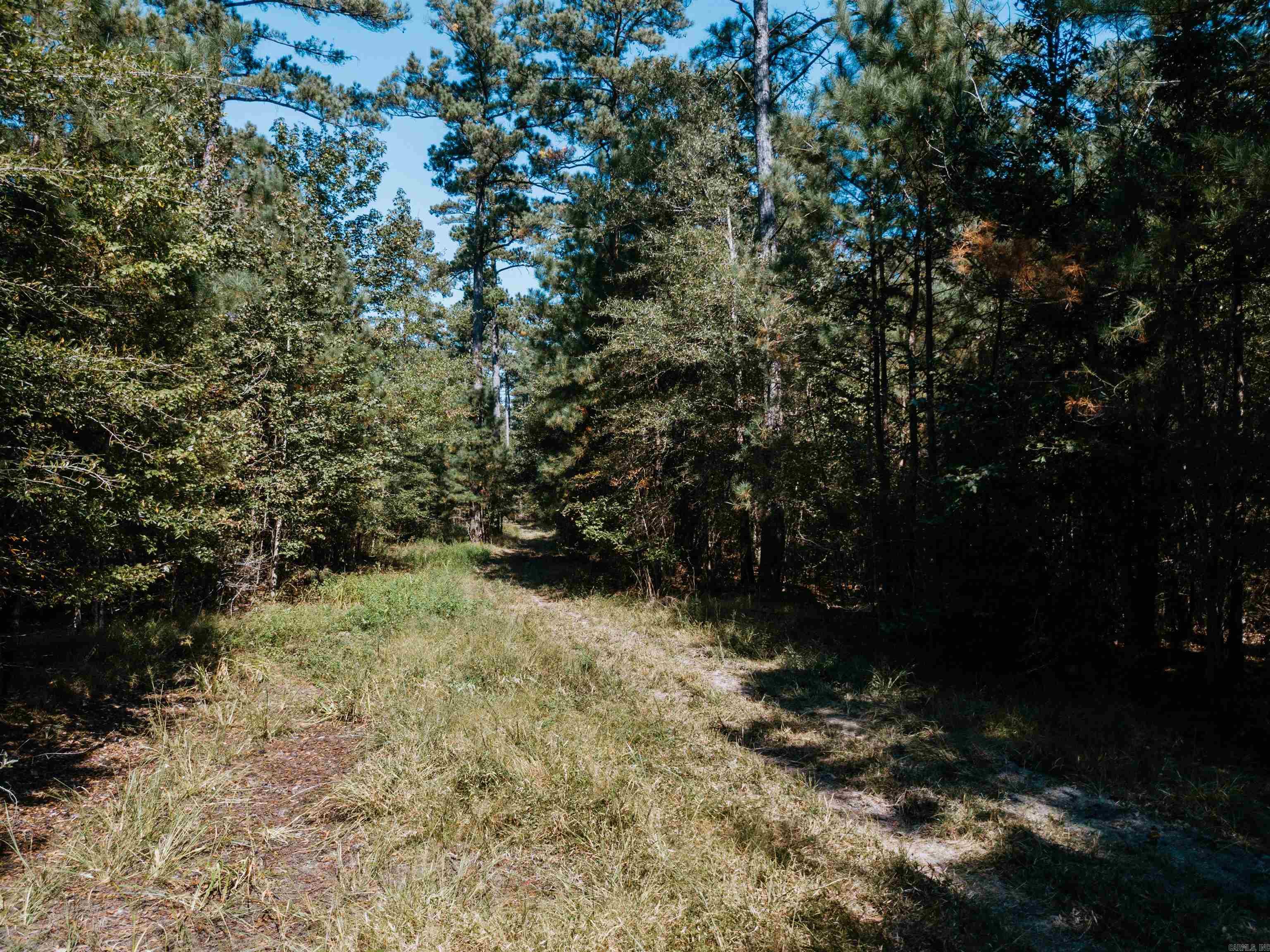 000  Opitz  Haskell, AR