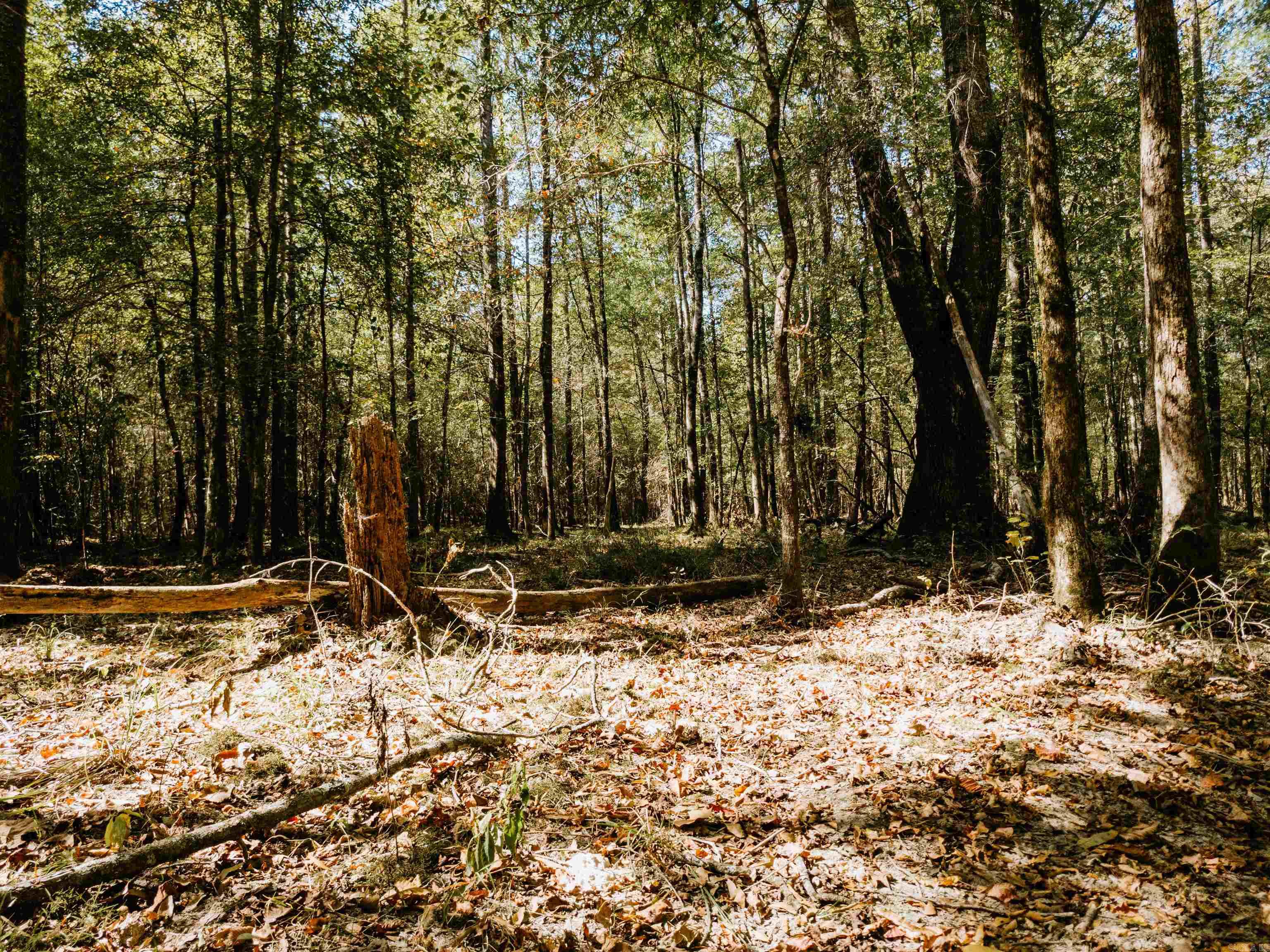 000  Opitz  Haskell, AR