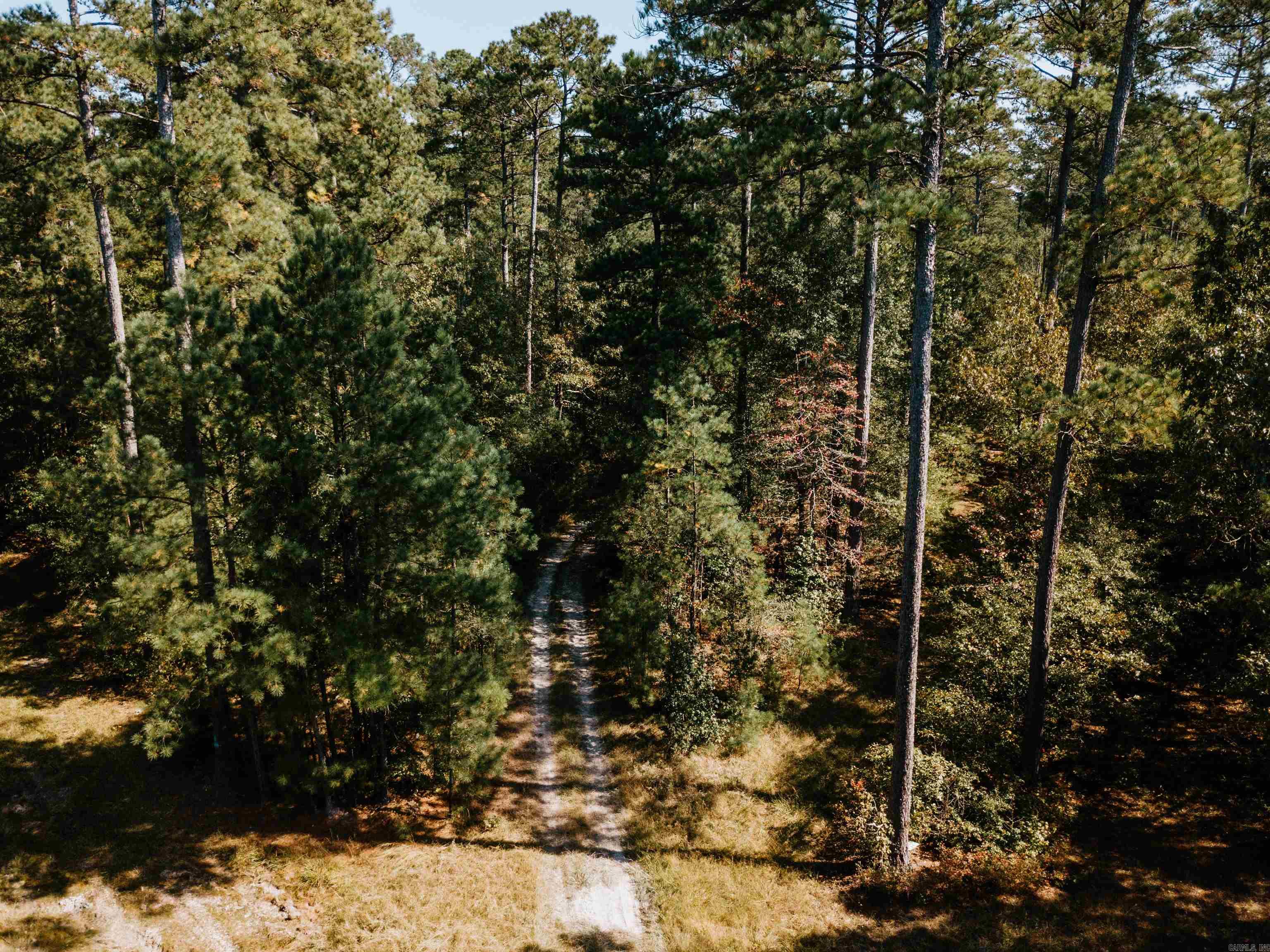 000  Opitz  Haskell, AR