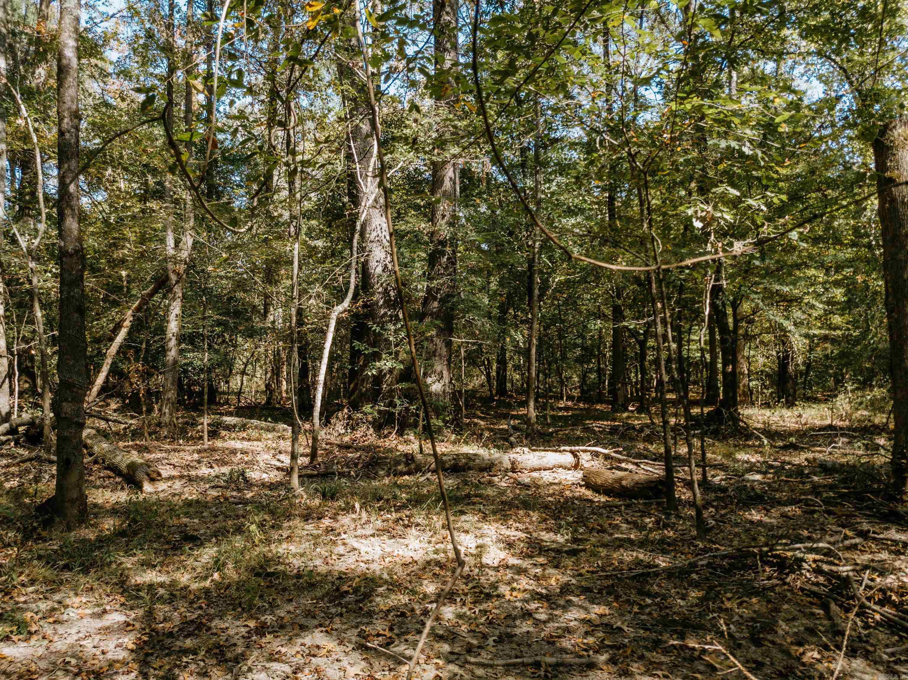 000  Opitz  Haskell, AR