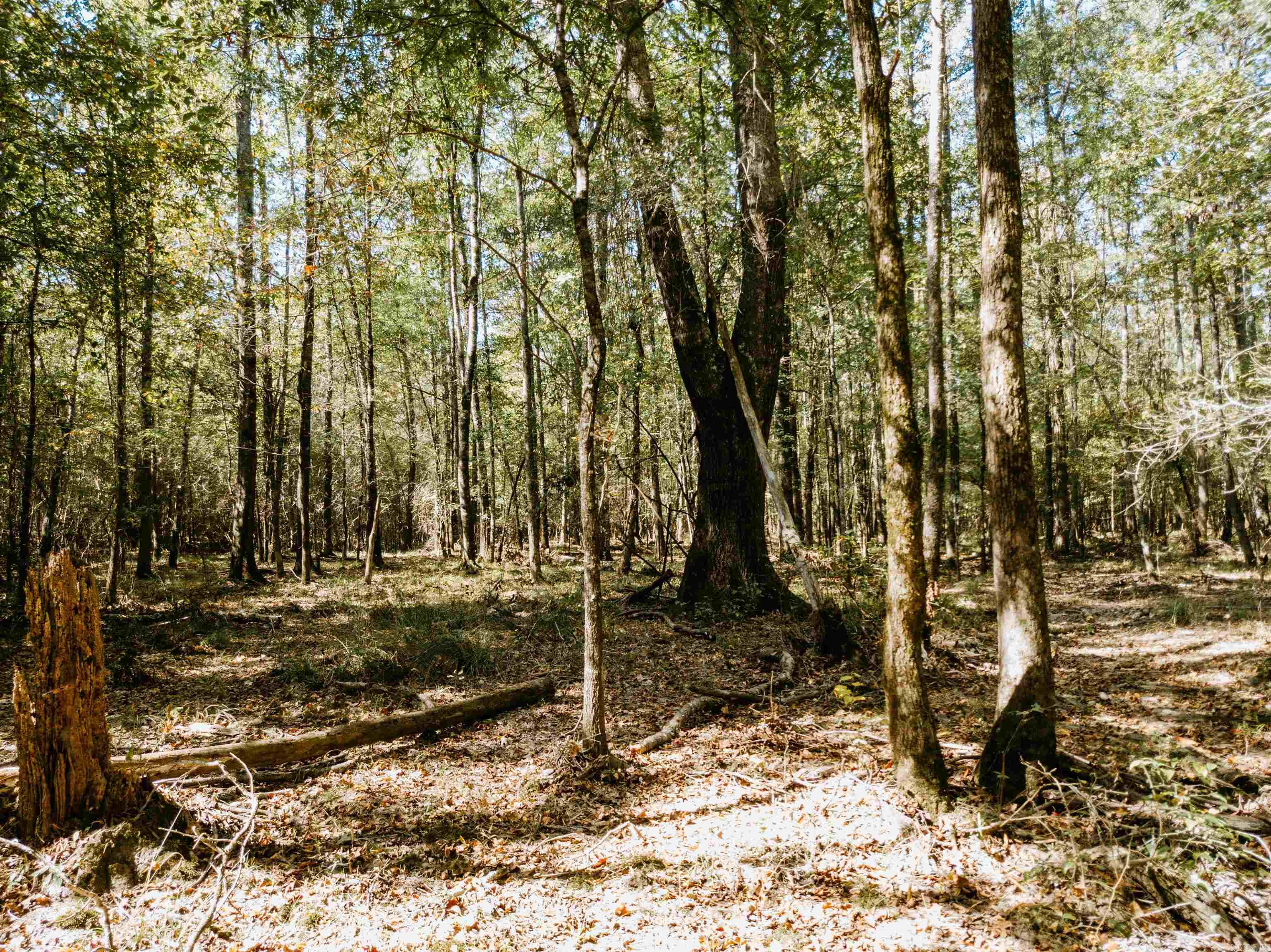 000  Opitz  Haskell, AR