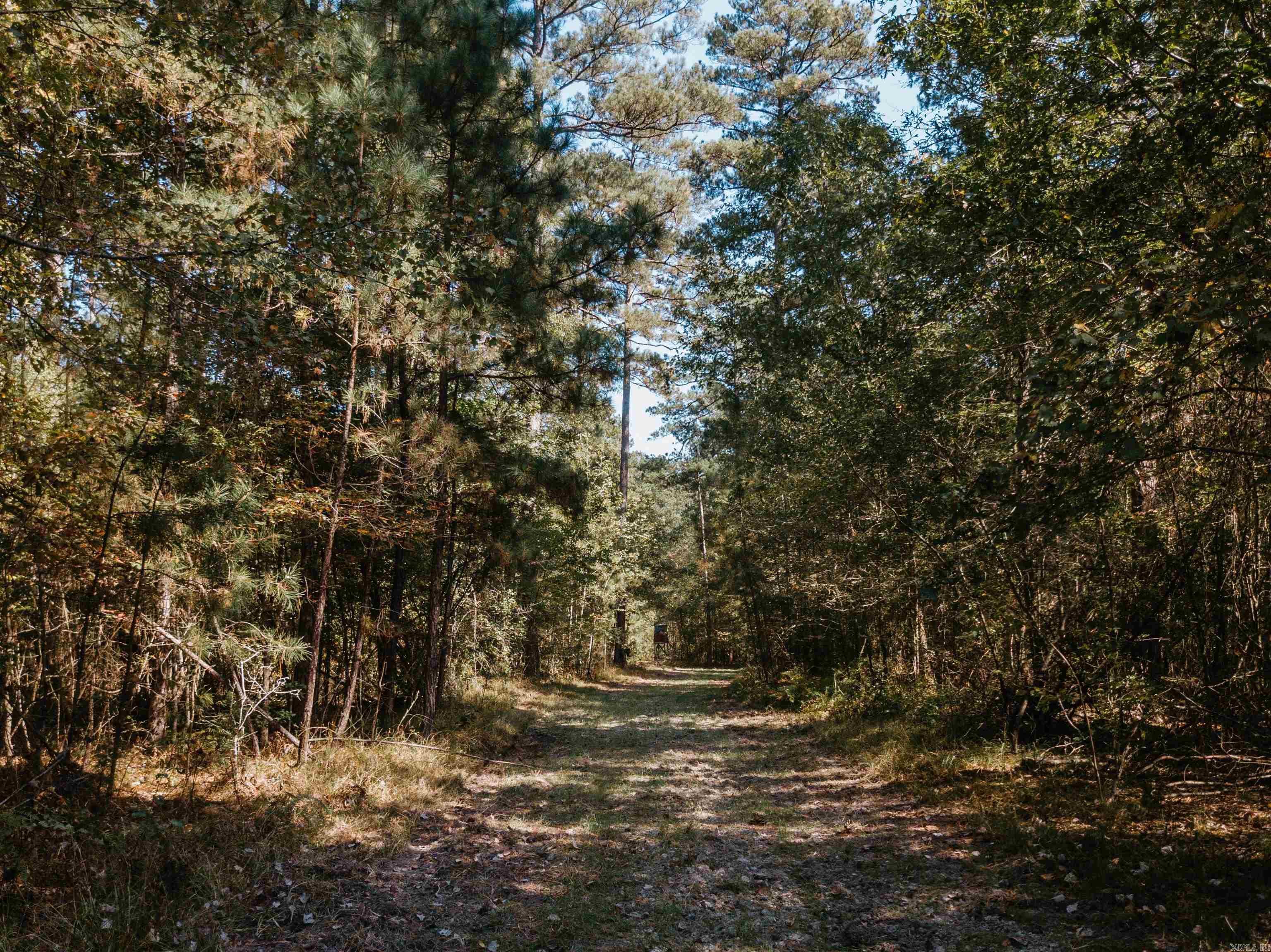 000  Opitz  Haskell, AR