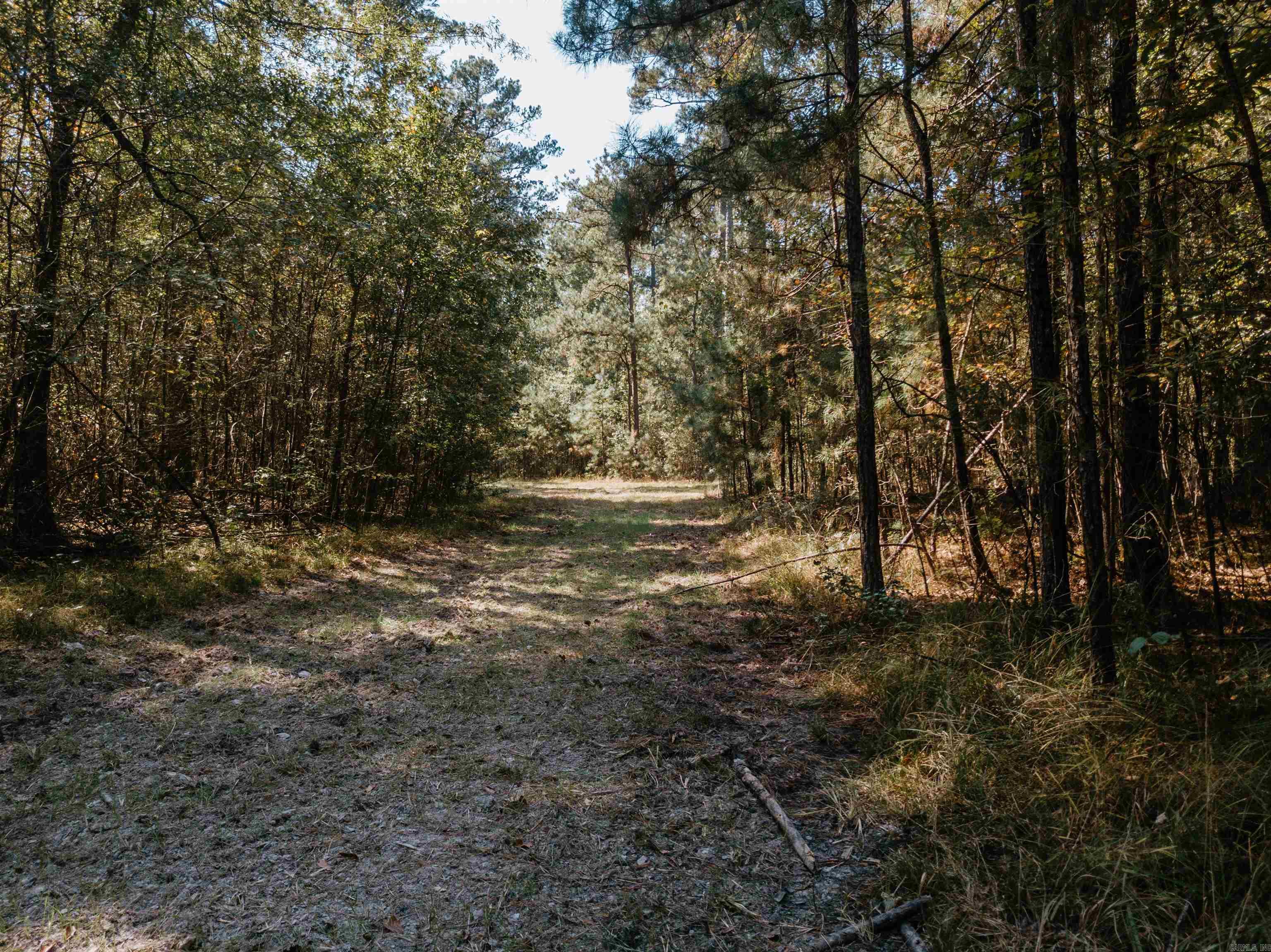 000  Opitz  Haskell, AR