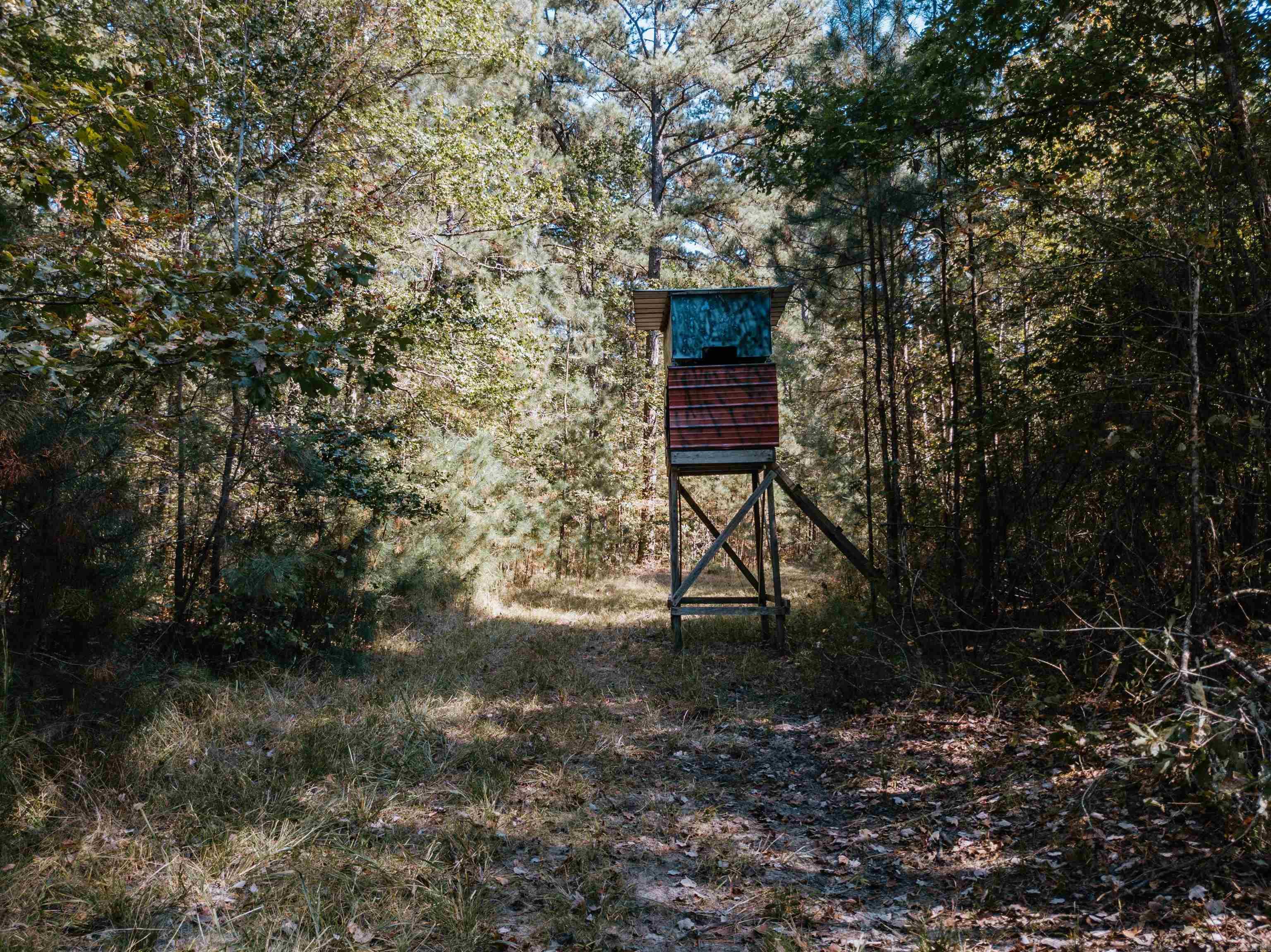 000  Opitz  Haskell, AR