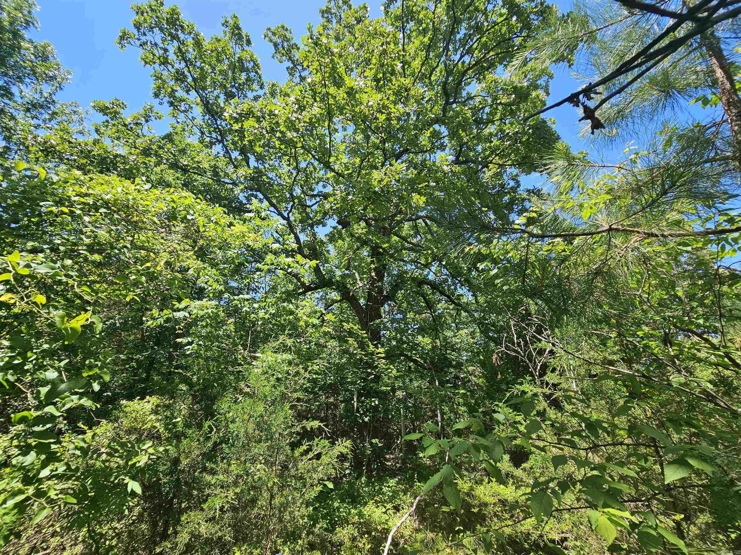 169  CEDAR CREEK  Marshall, AR