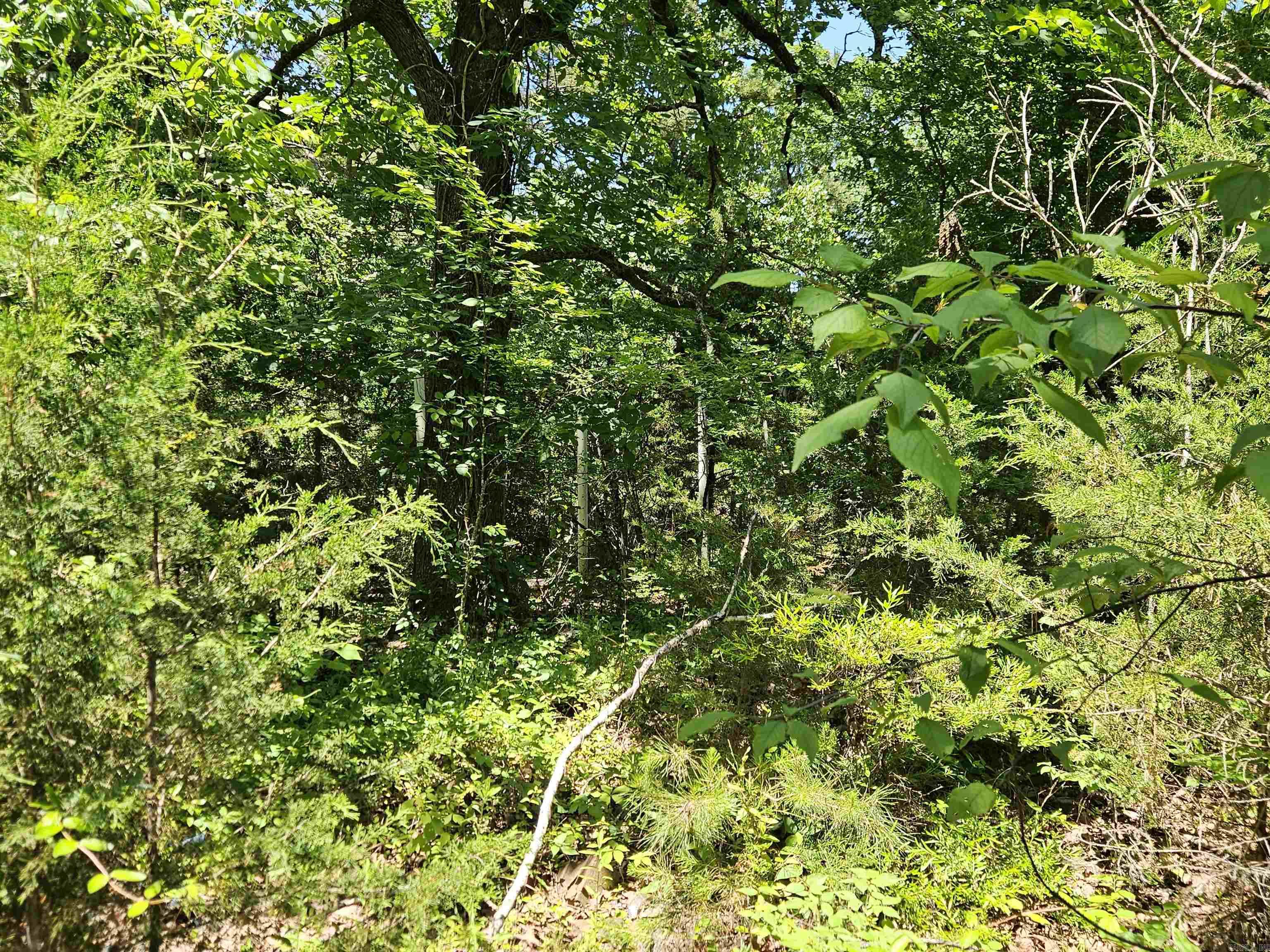 169  CEDAR CREEK  Marshall, AR