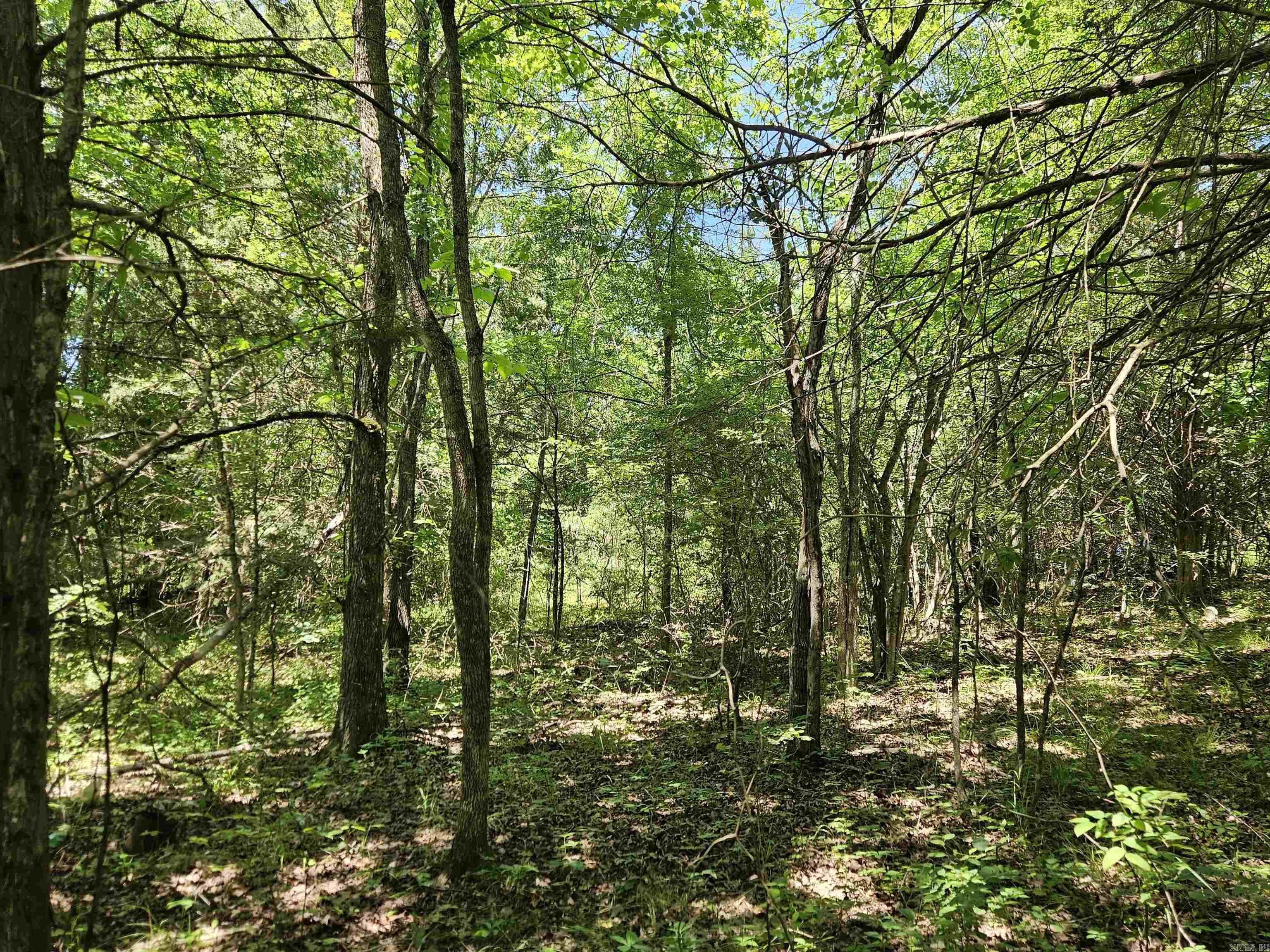 169  CEDAR CREEK  Marshall, AR
