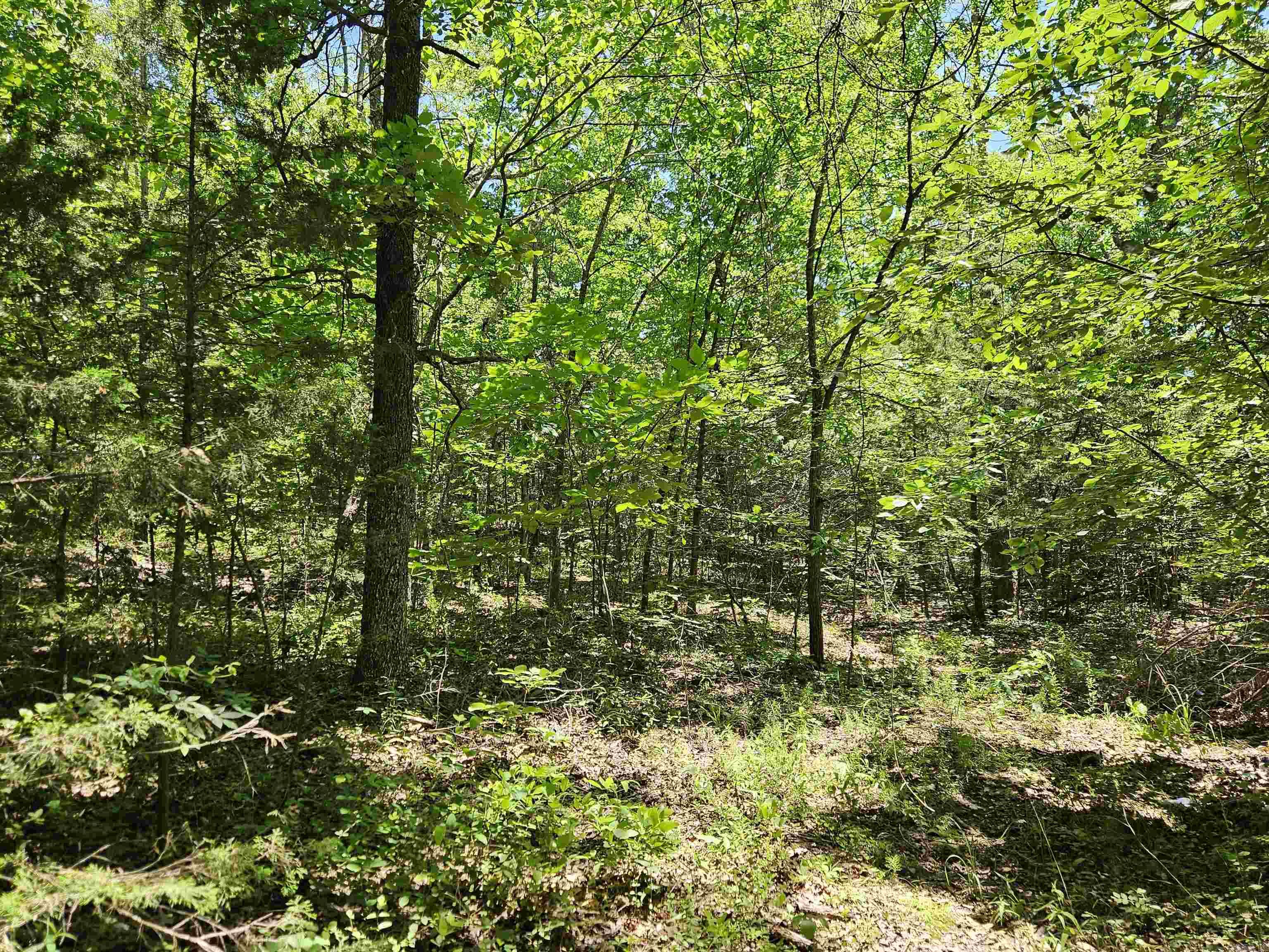 169  CEDAR CREEK  Marshall, AR