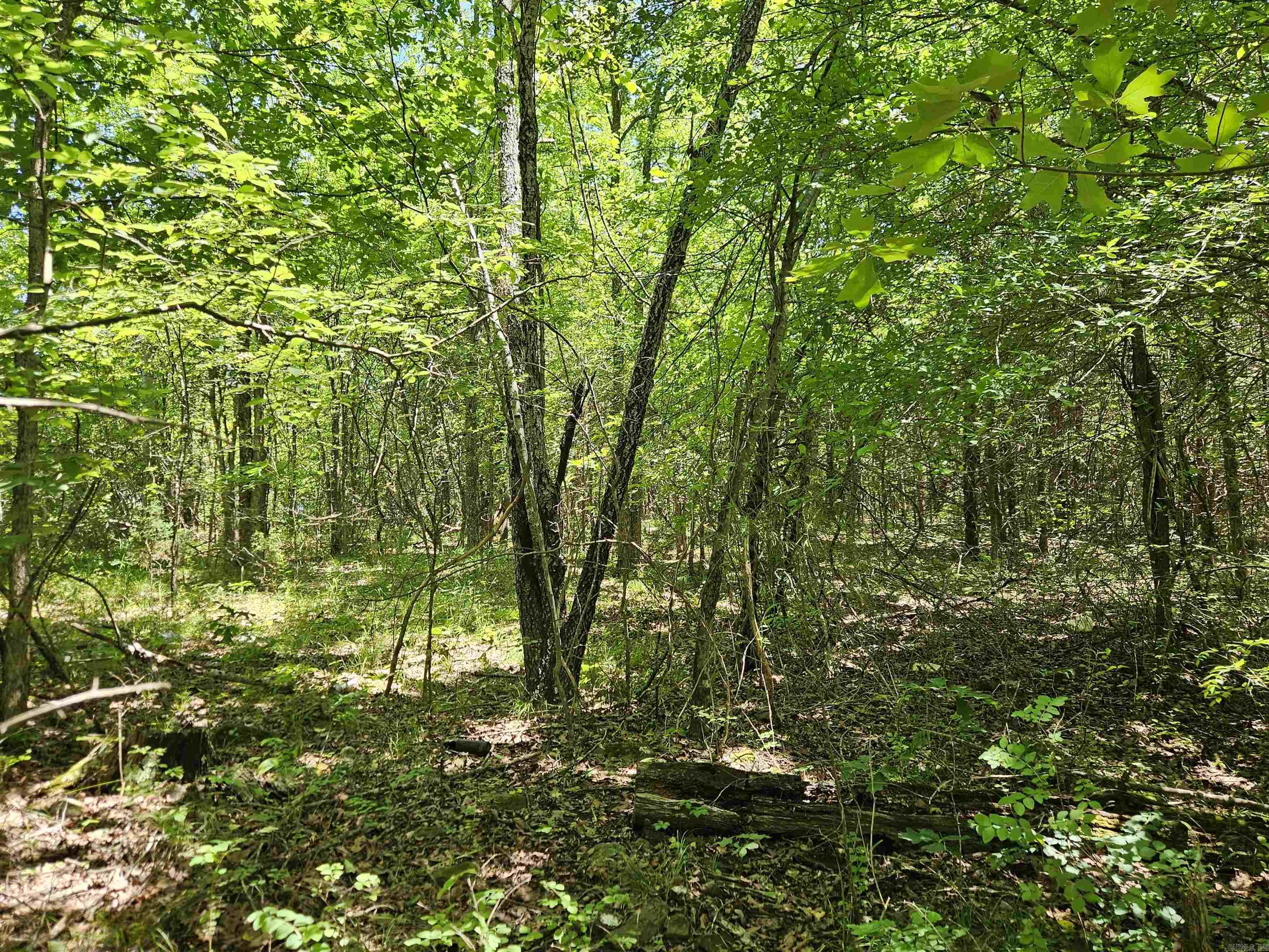 169  CEDAR CREEK  Marshall, AR