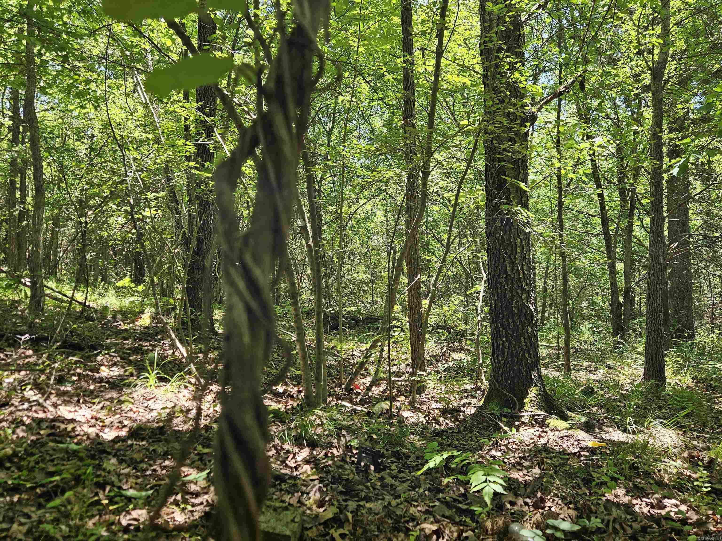 169  CEDAR CREEK  Marshall, AR