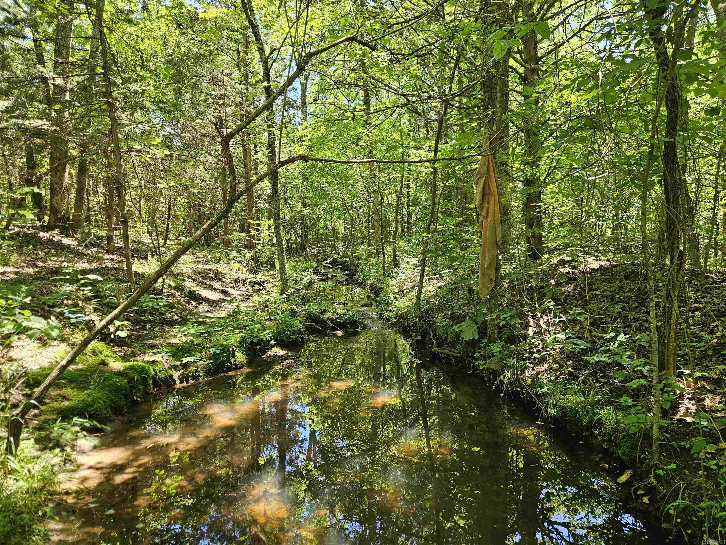 169  CEDAR CREEK  Marshall, AR