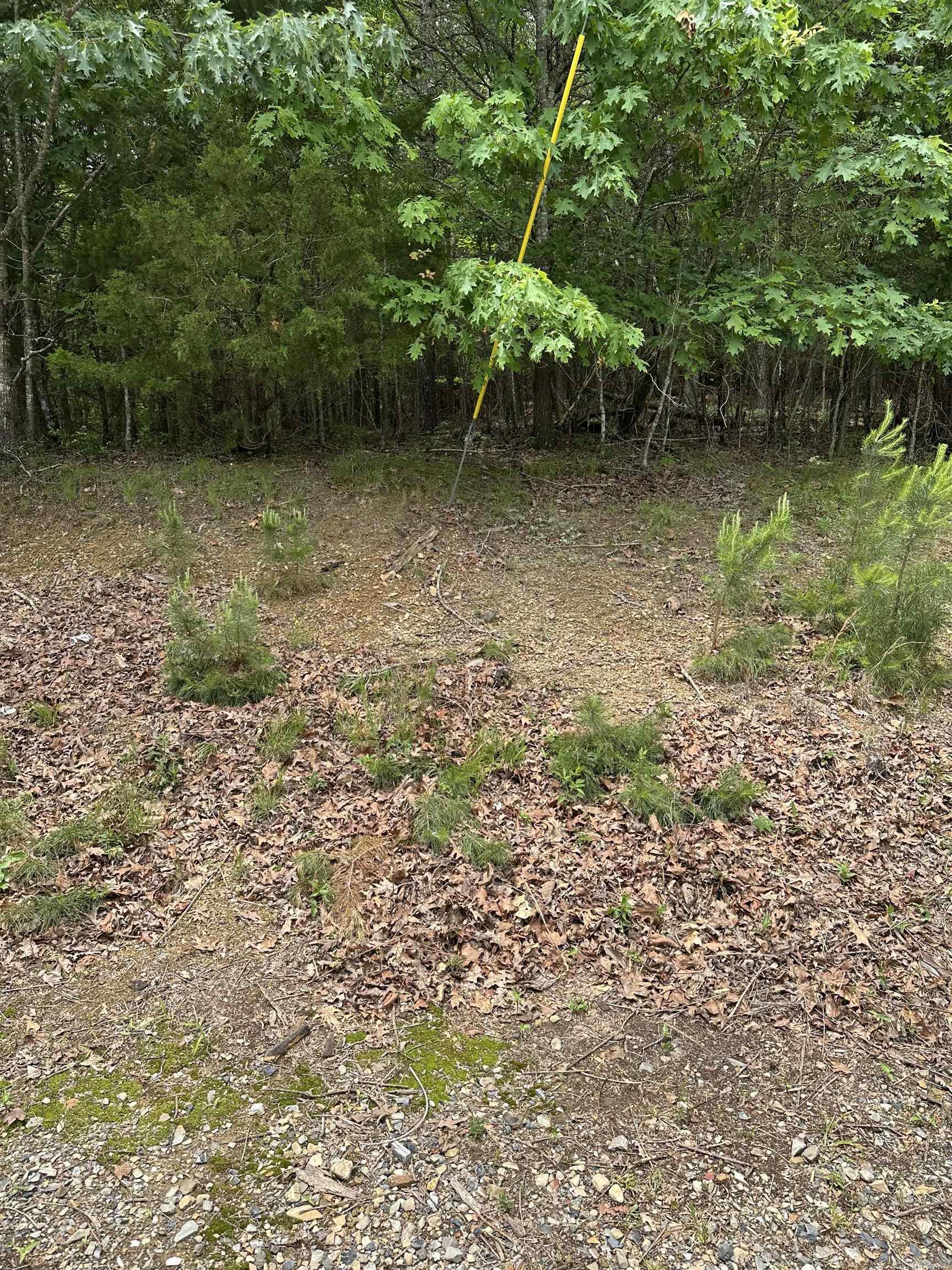 540  Polk rd 78  Mena, AR