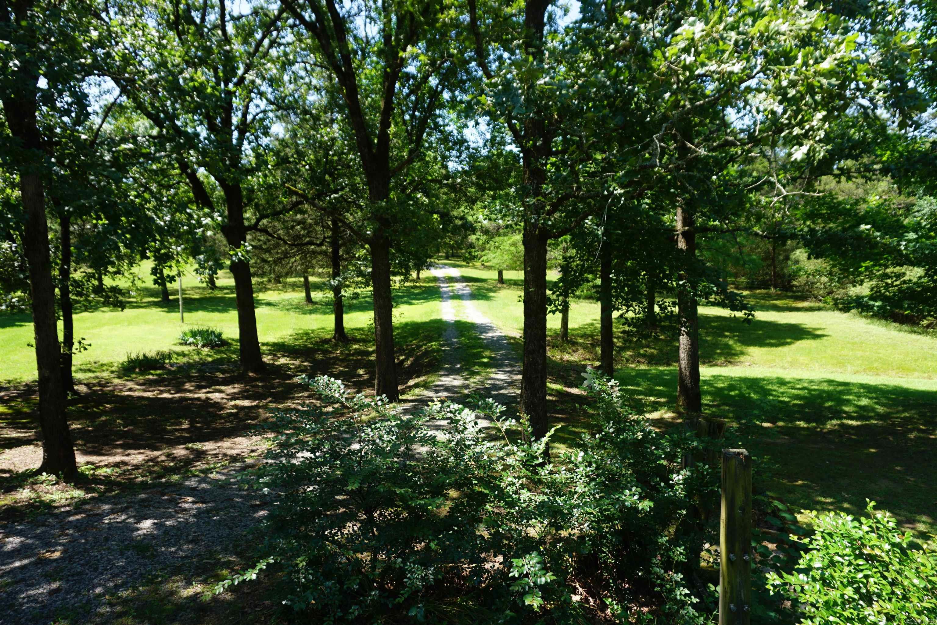 125  Blue Bird Glen  Searcy, AR