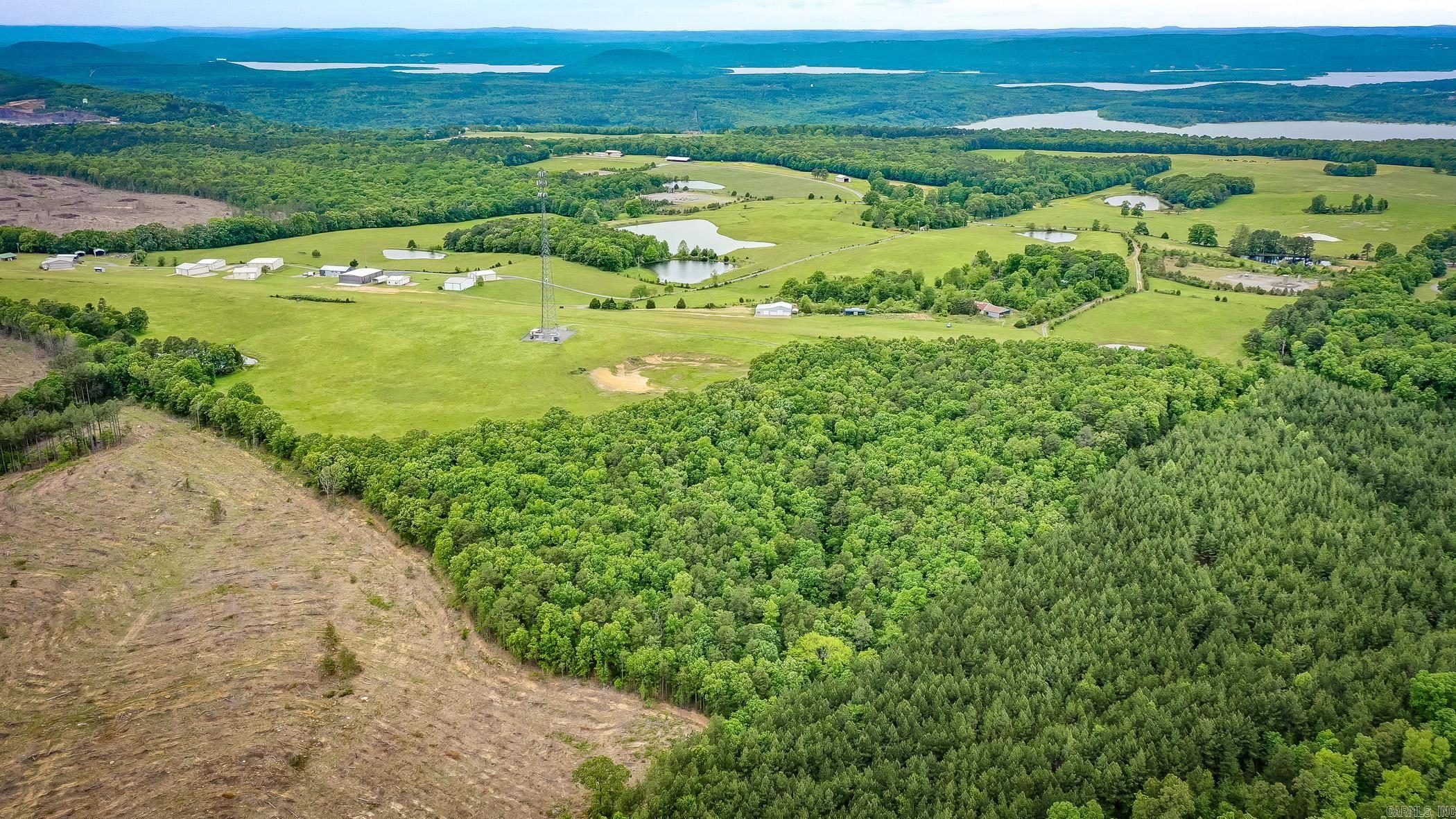 810  Diamond Bluff  Quitman, AR
