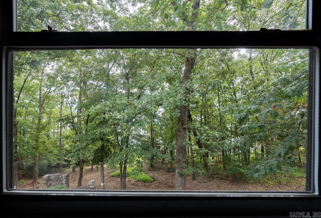 445  Tortoise Bay  Higden, AR
