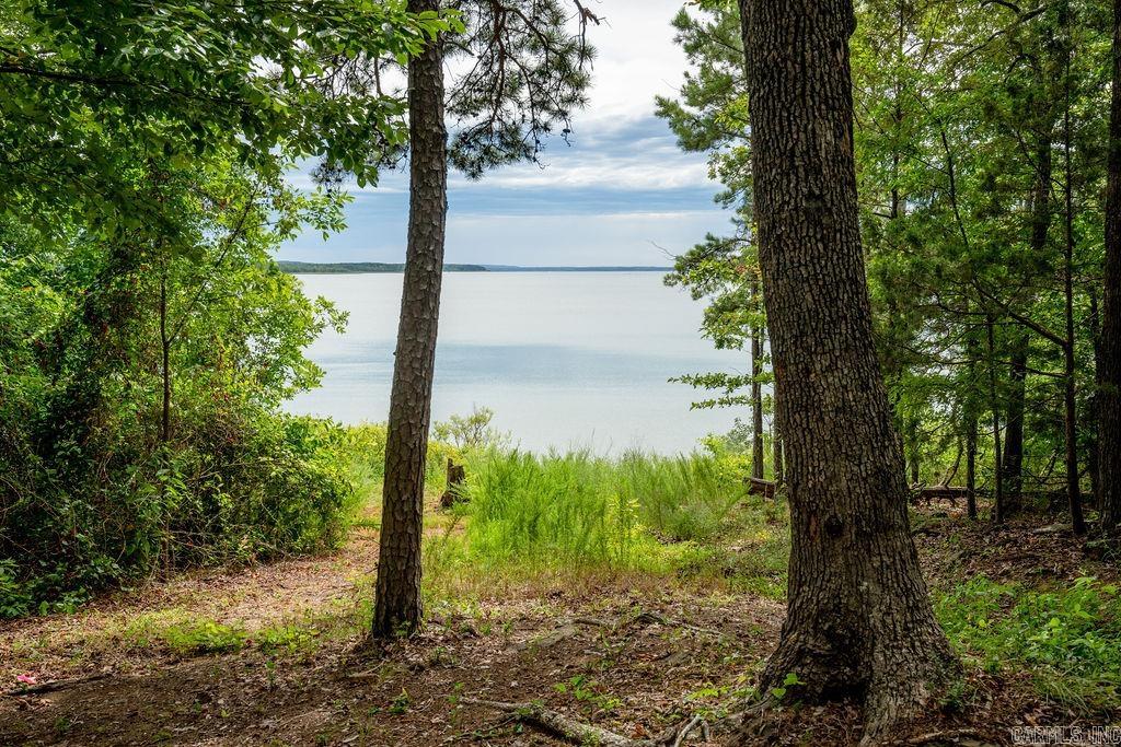 445  Tortoise Bay  Higden, AR