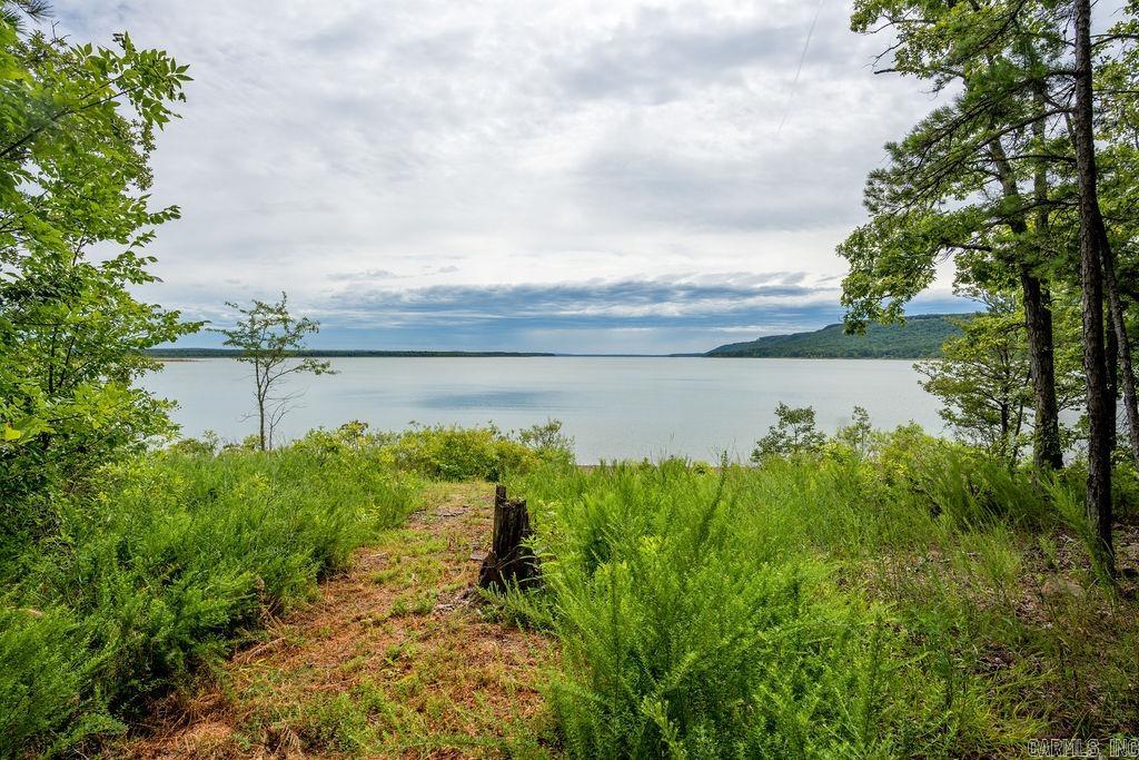 445  Tortoise Bay  Higden, AR
