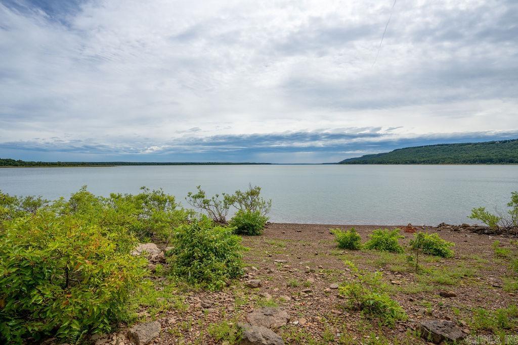 445  Tortoise Bay  Higden, AR