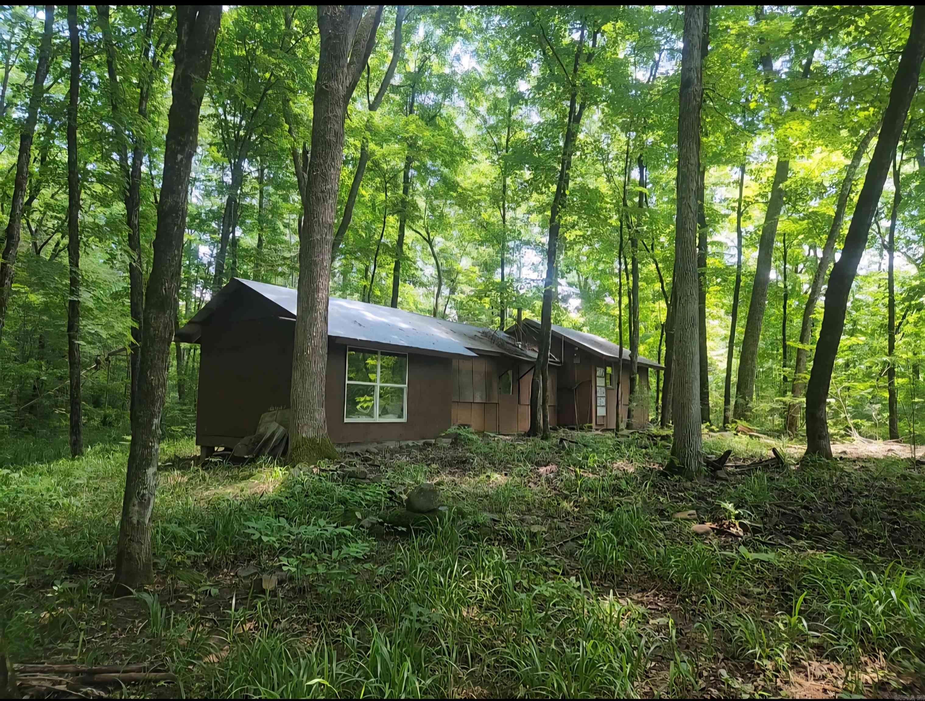 5176 CR 5099 Pettigrew, AR 72752