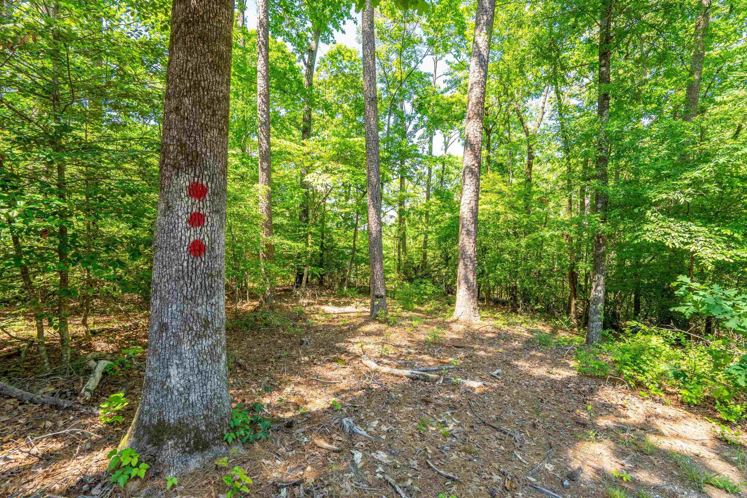 90  Silver Point Unit 4  Mount Ida, AR