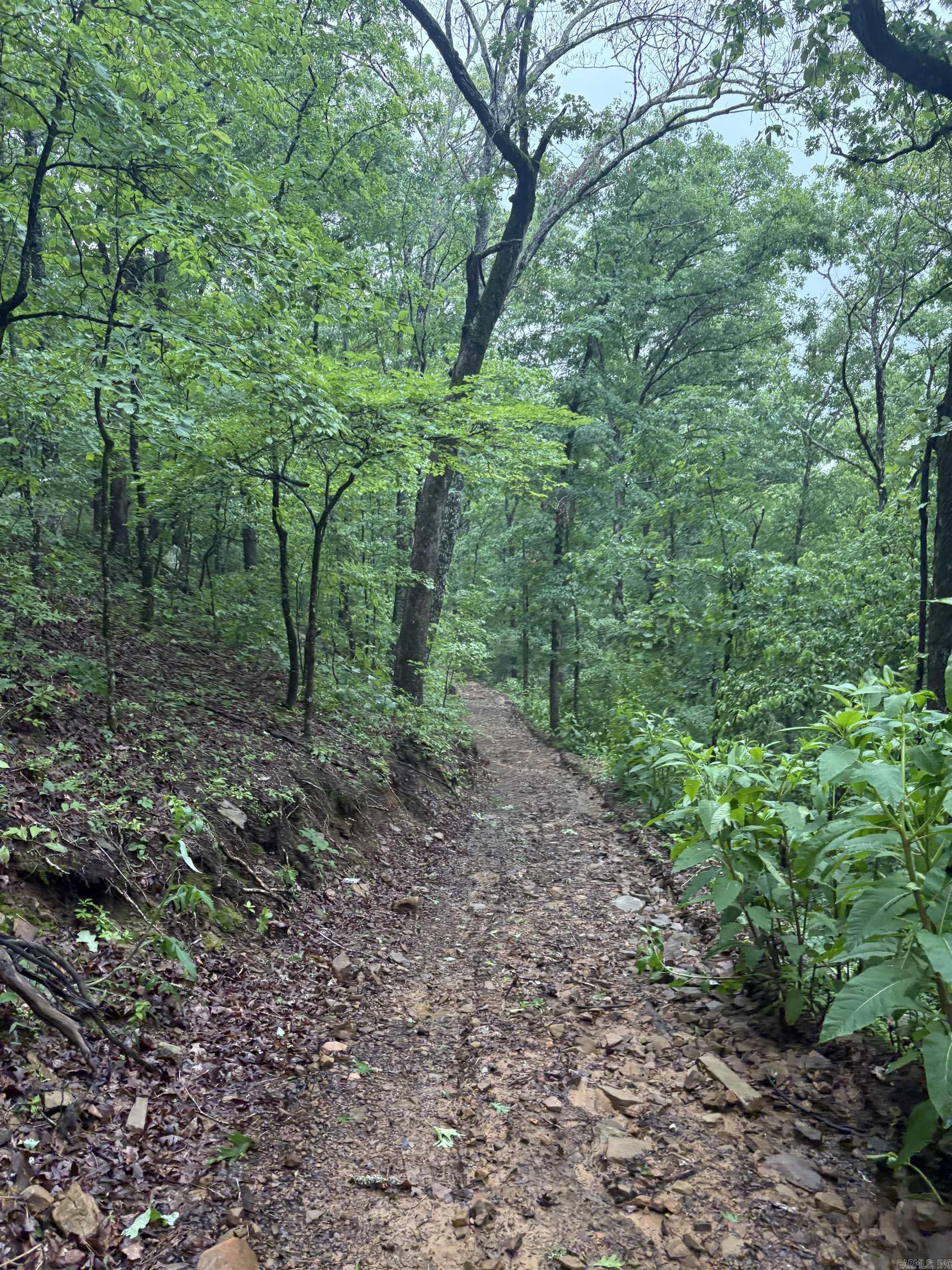 32  Arrow Ridge  Damascus, AR