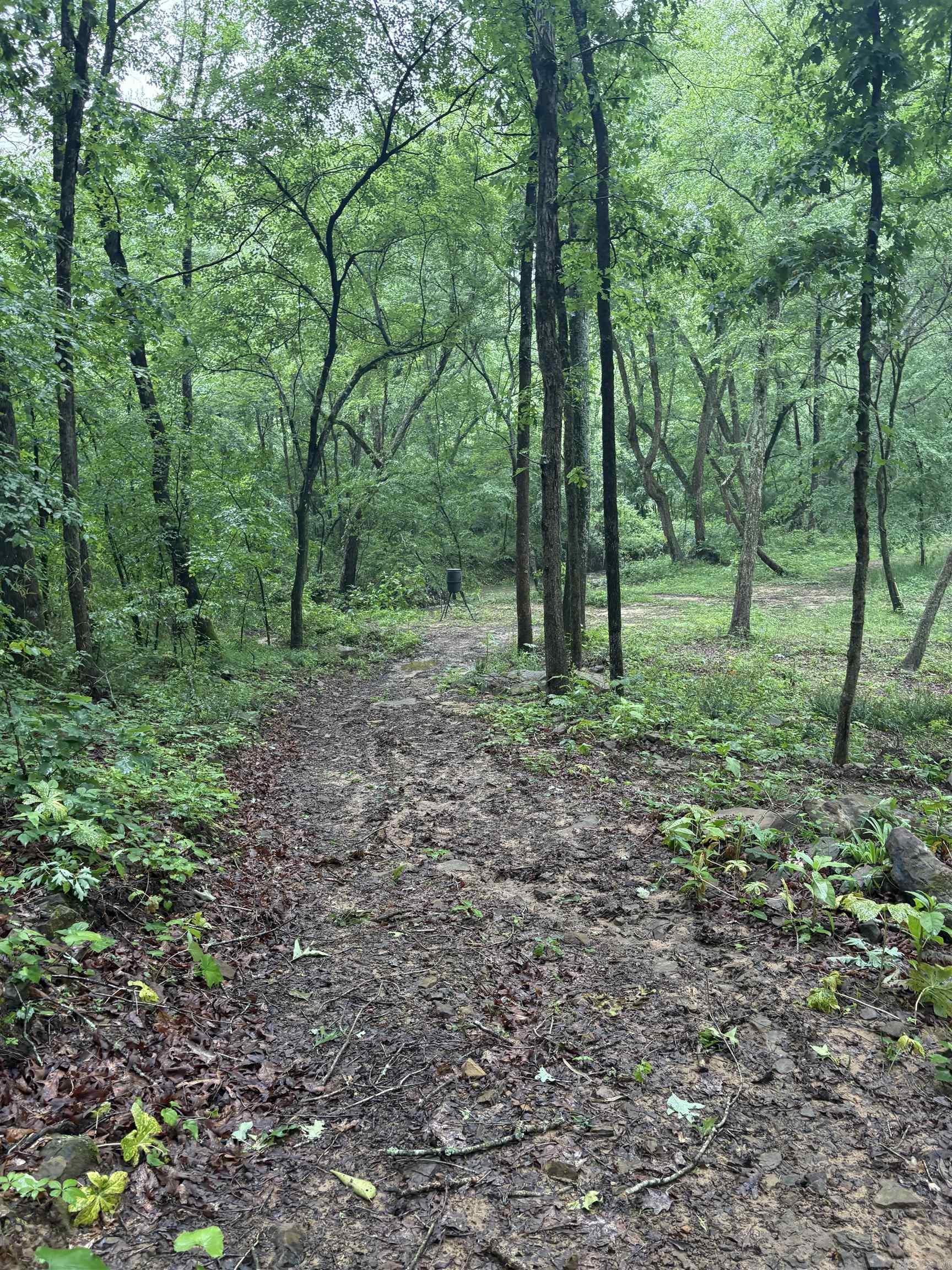 32  Arrow Ridge  Damascus, AR
