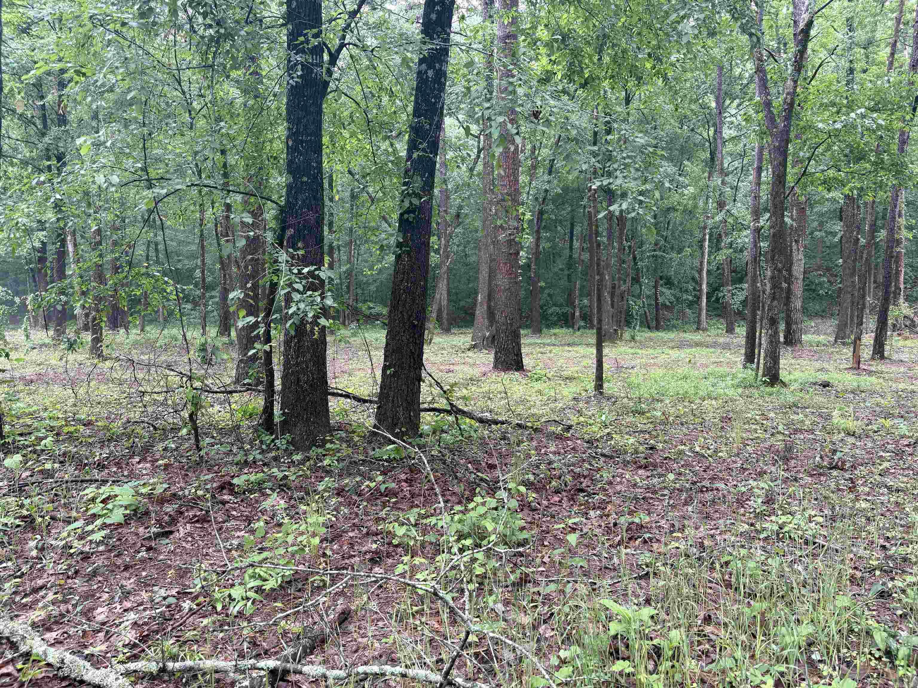 32  Arrow Ridge  Damascus, AR