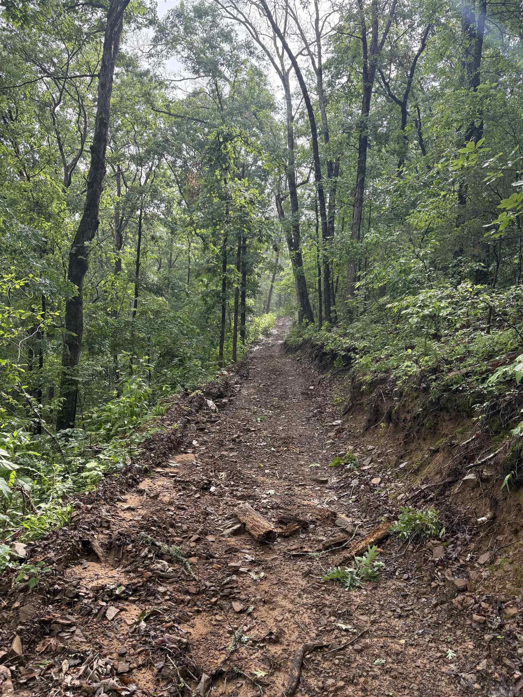 32  Arrow Ridge  Damascus, AR