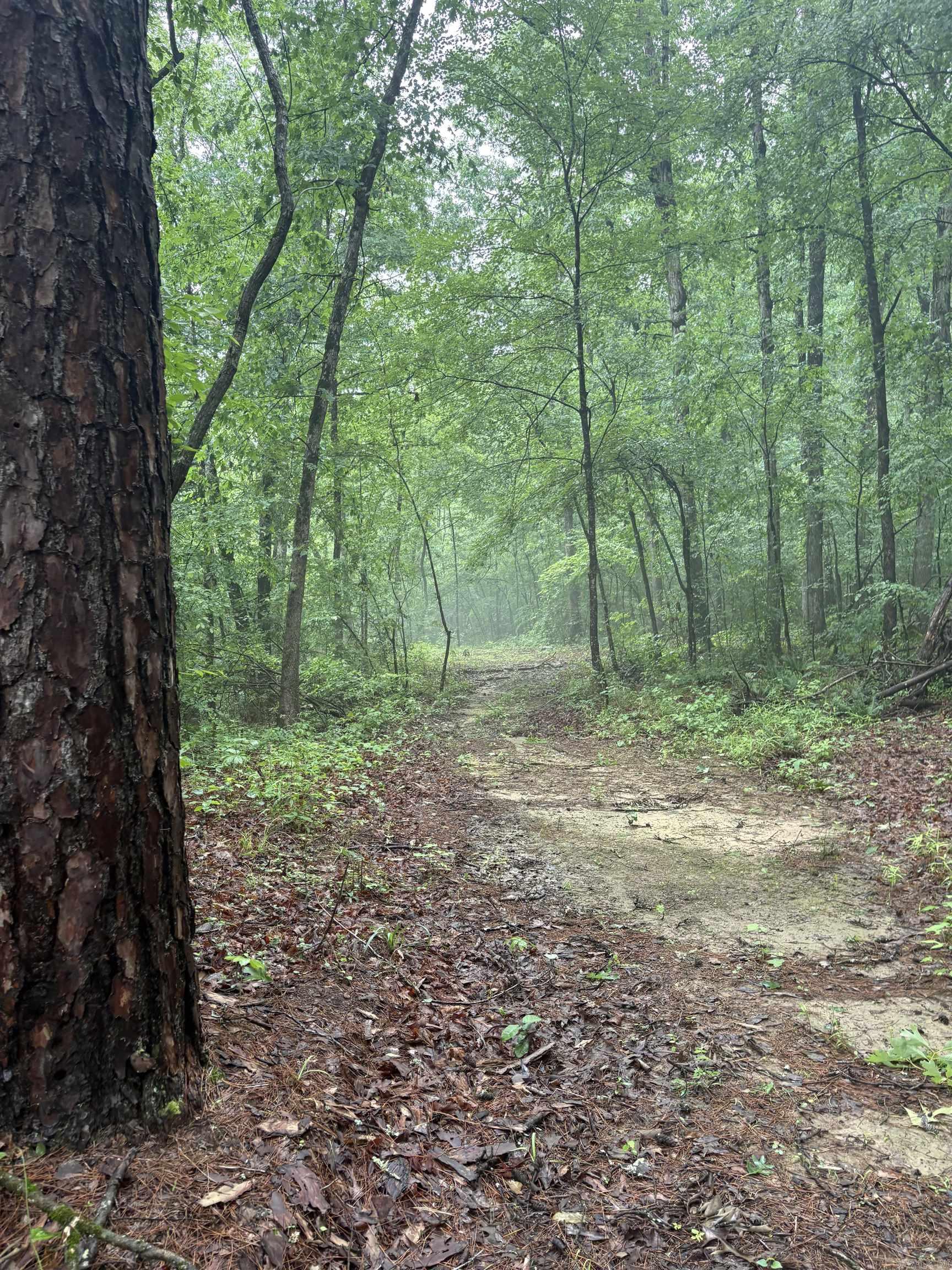 32  Arrow Ridge  Damascus, AR