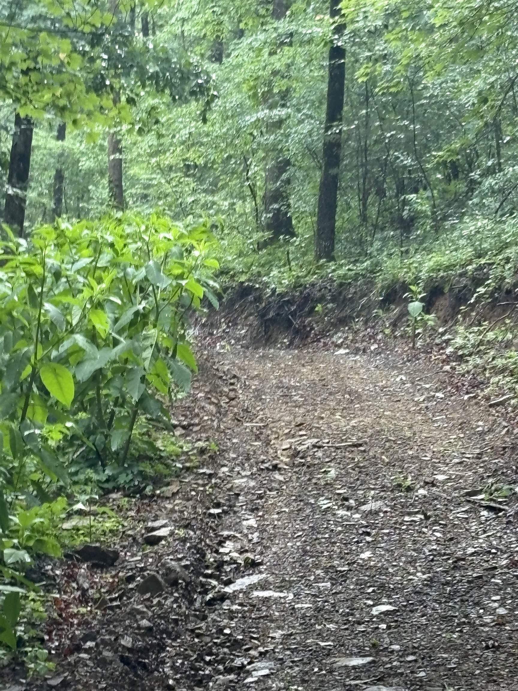32  Arrow Ridge  Damascus, AR