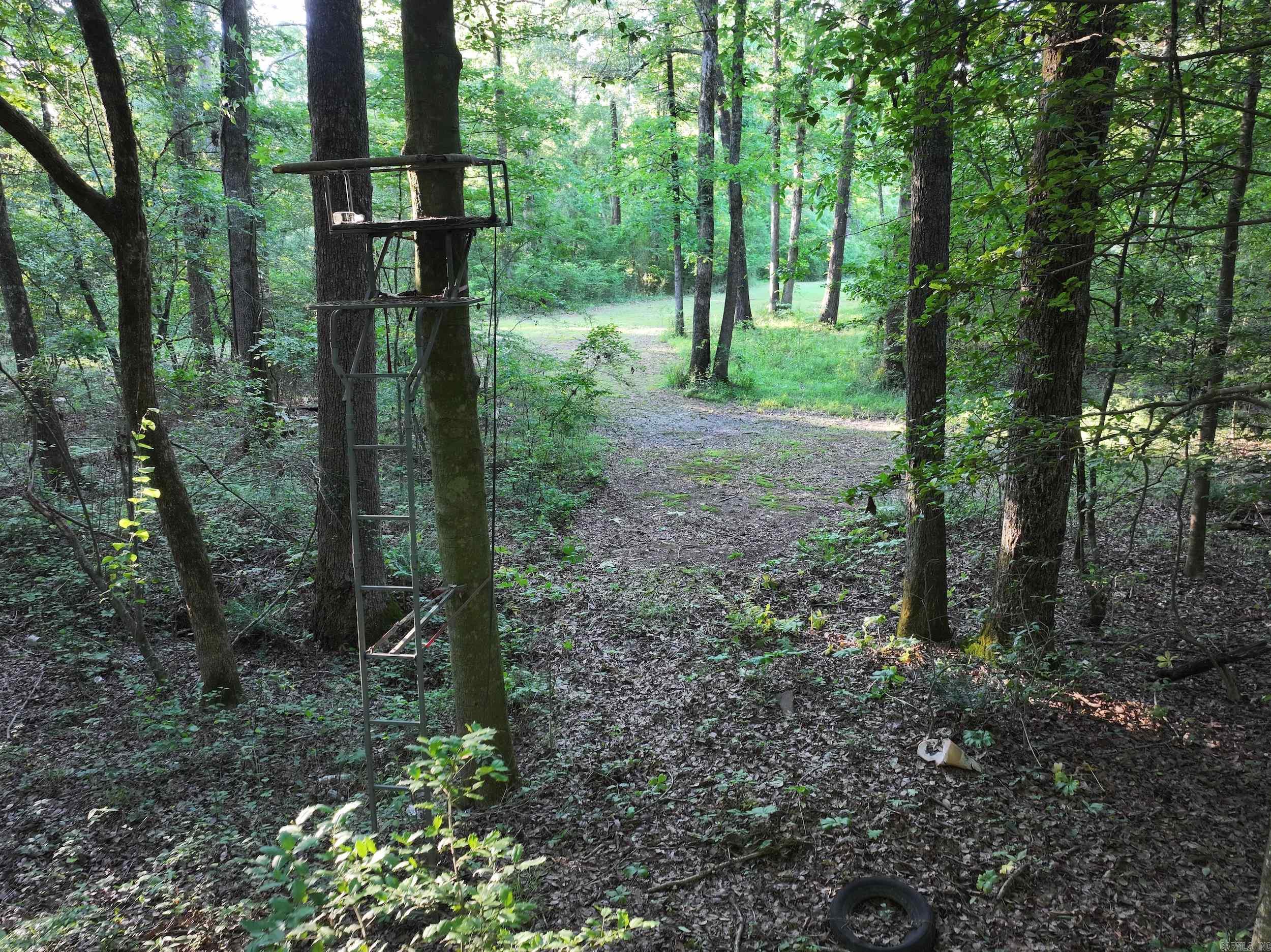 3061 W Highway 84  Umpire, AR