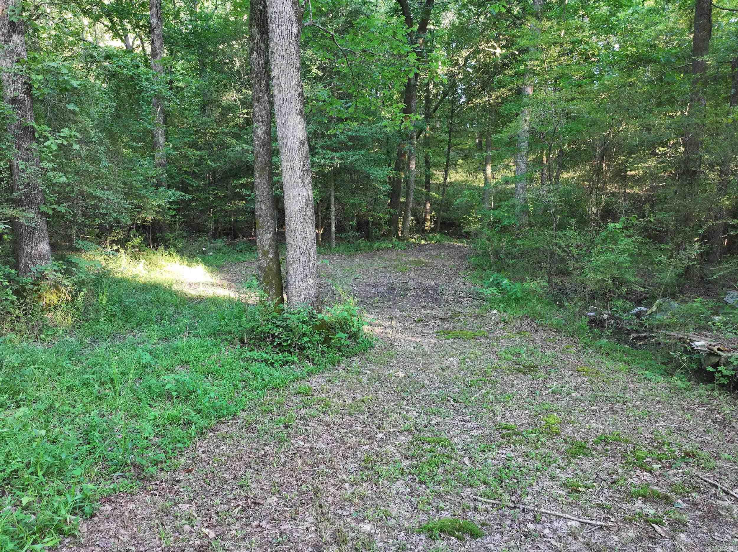 3061 W Highway 84  Umpire, AR