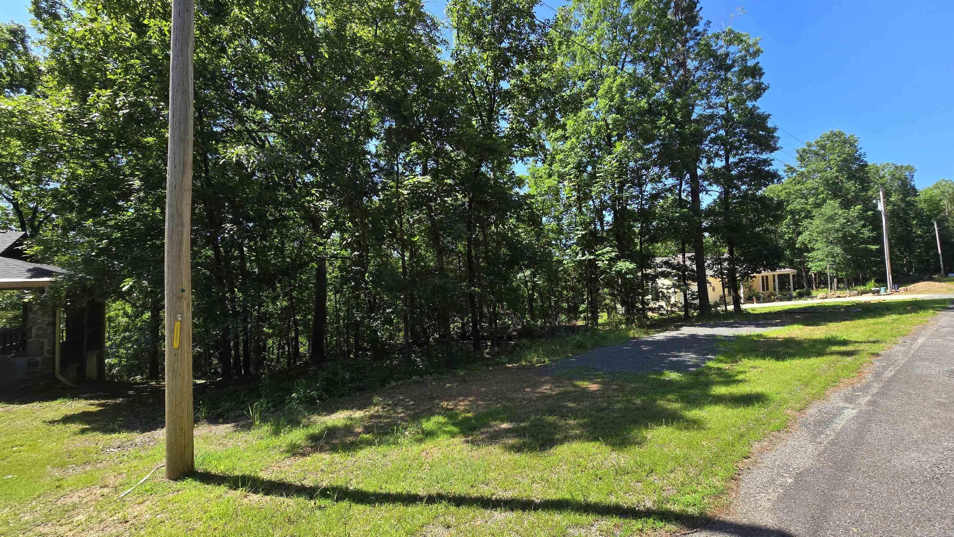 219  Dunlop  Fairfield Bay, AR