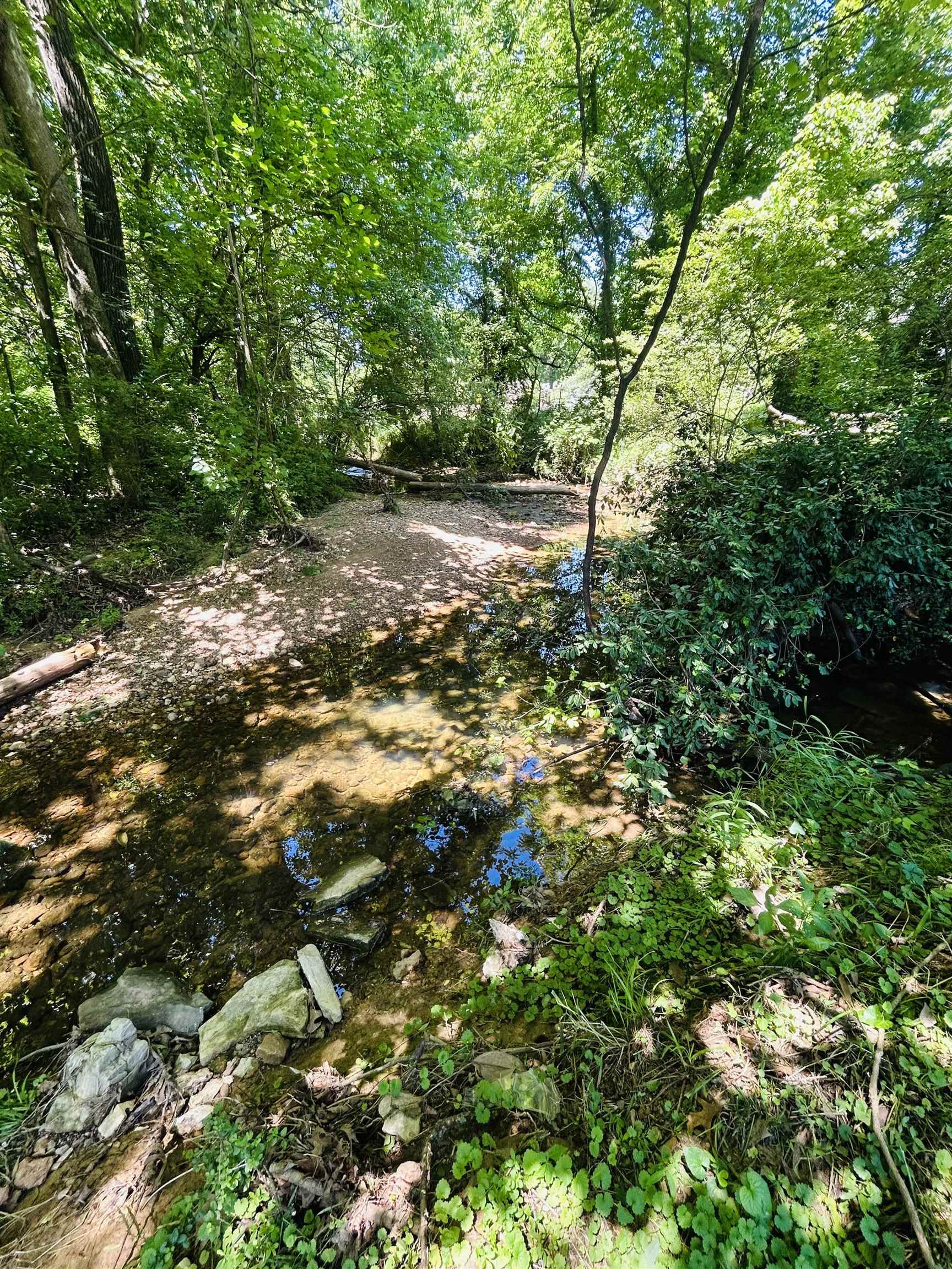 805 W Pyburn  Pocahontas, AR