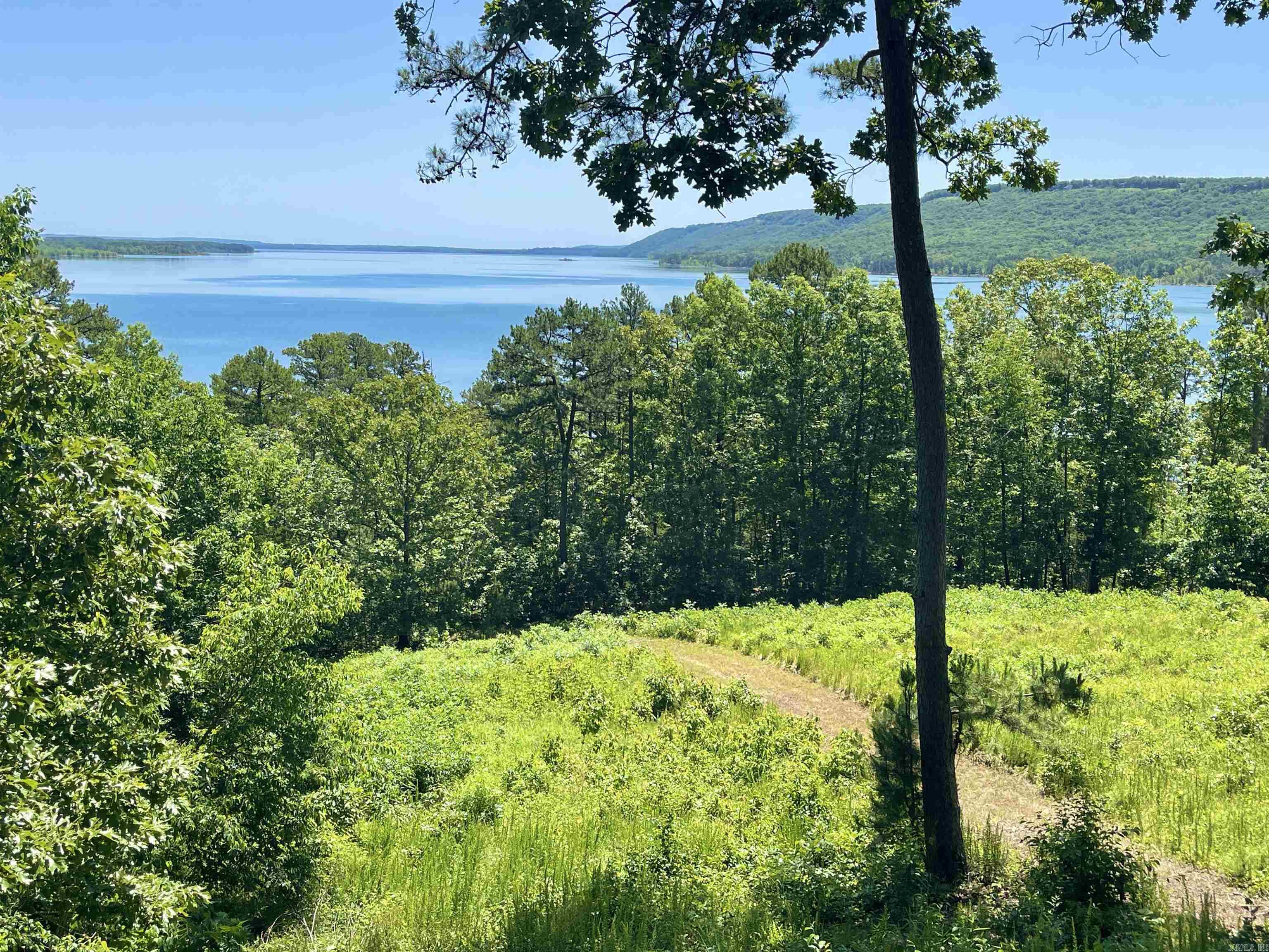 389  Tortoise Bay Rd.  Higden, AR