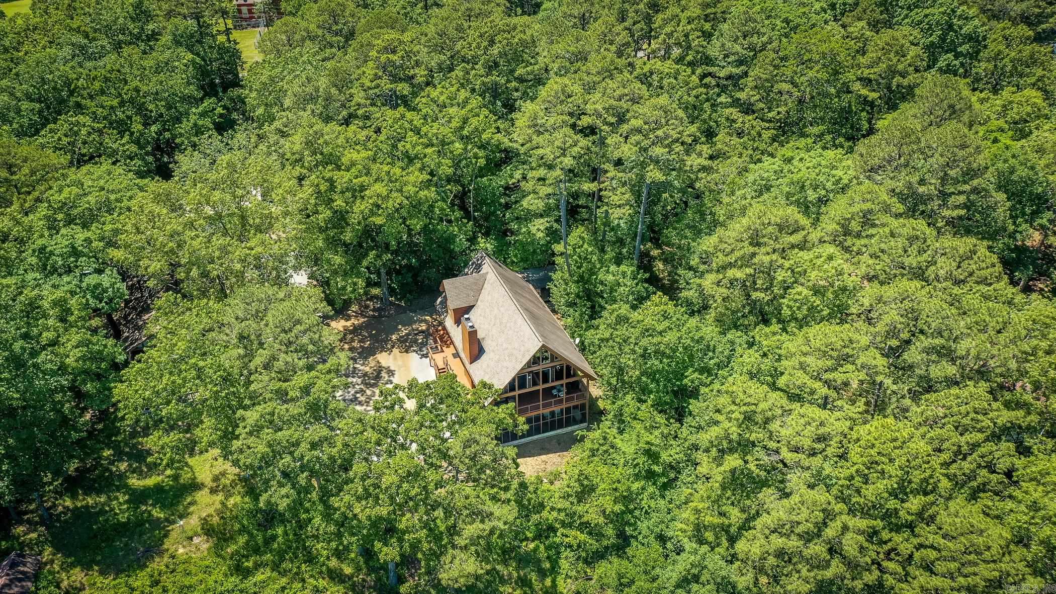 389  Tortoise Bay Rd.  Higden, AR