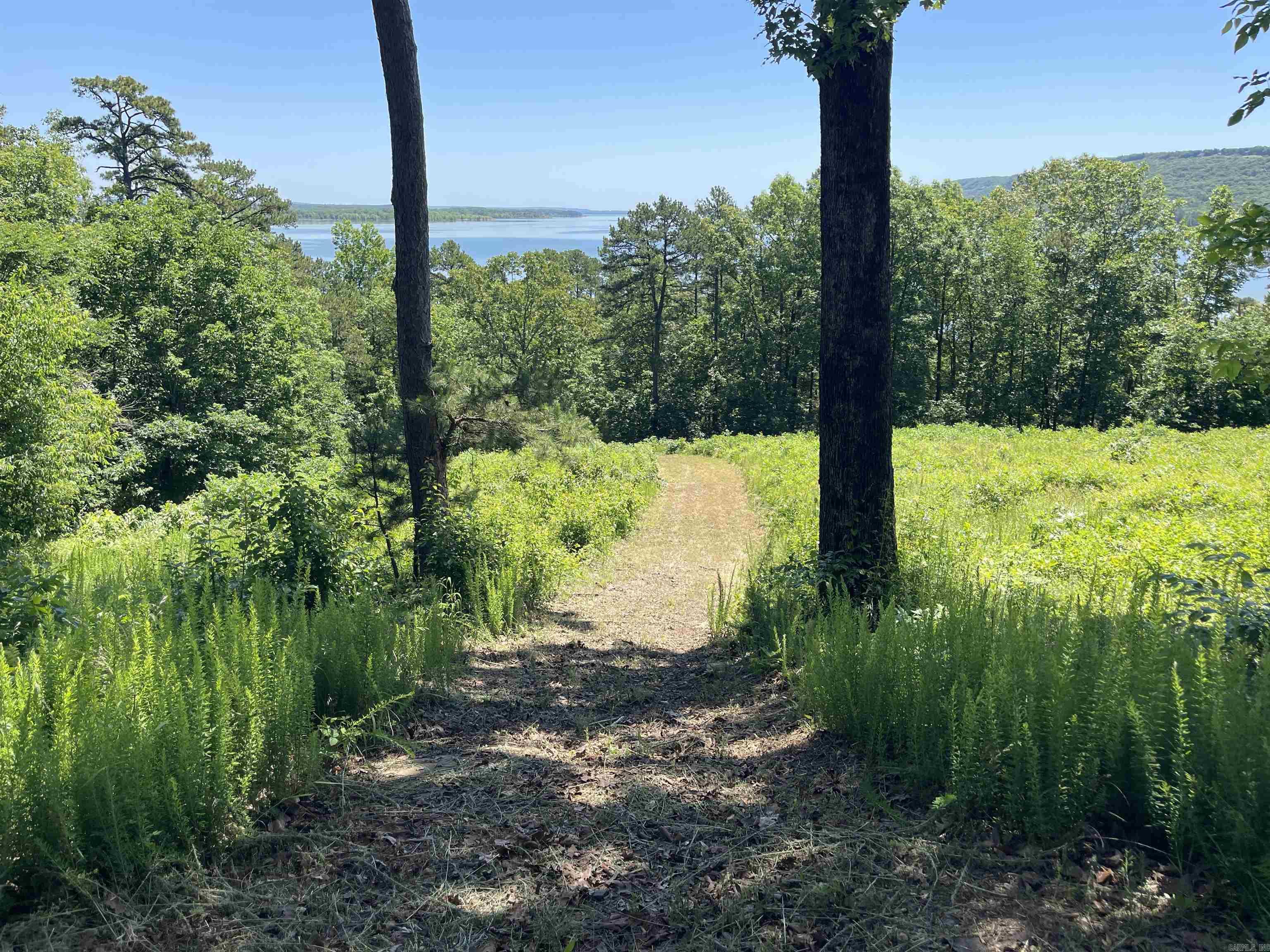 389  Tortoise Bay Rd.  Higden, AR