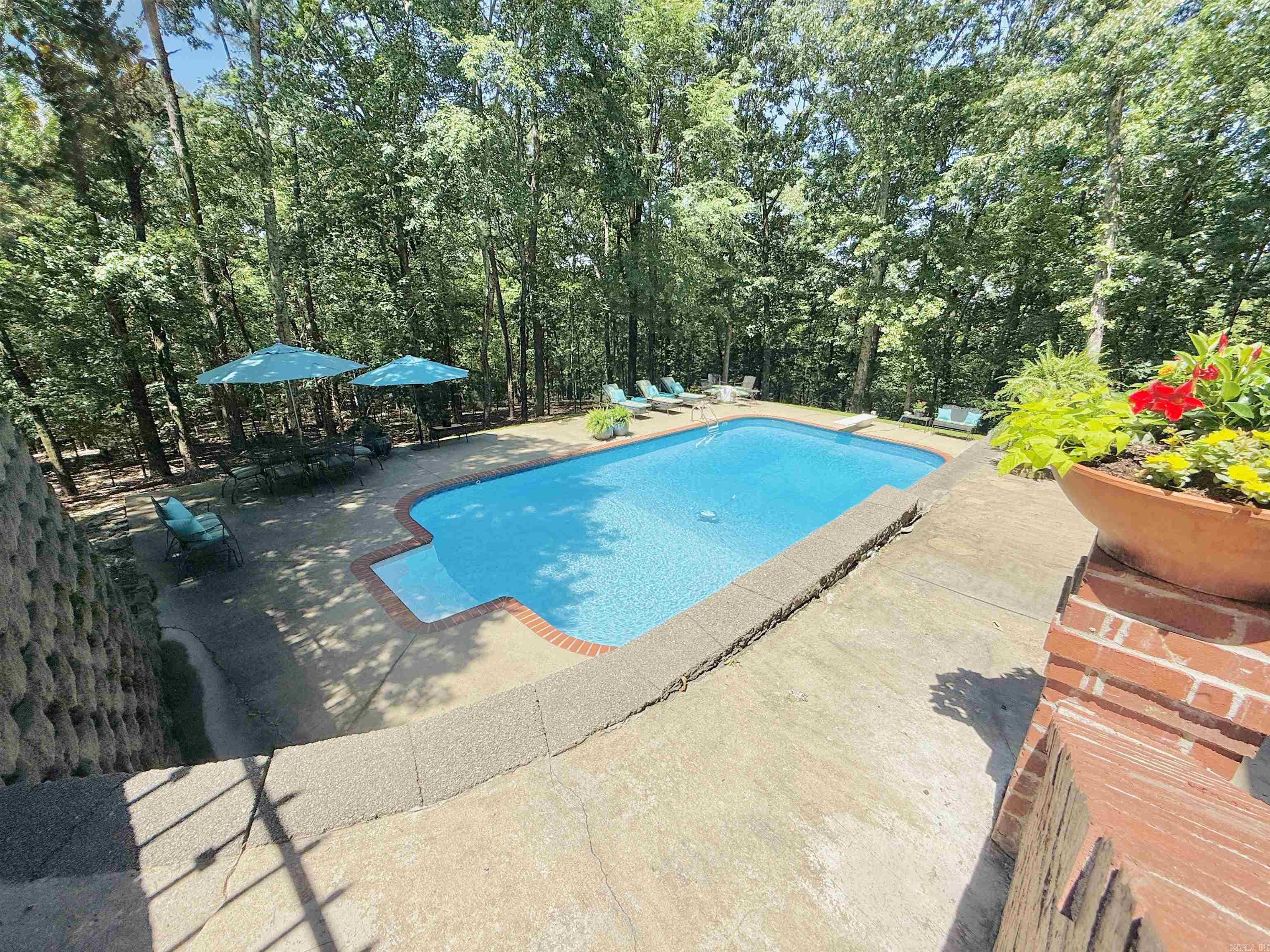 4 Dressage  Little Rock, AR
