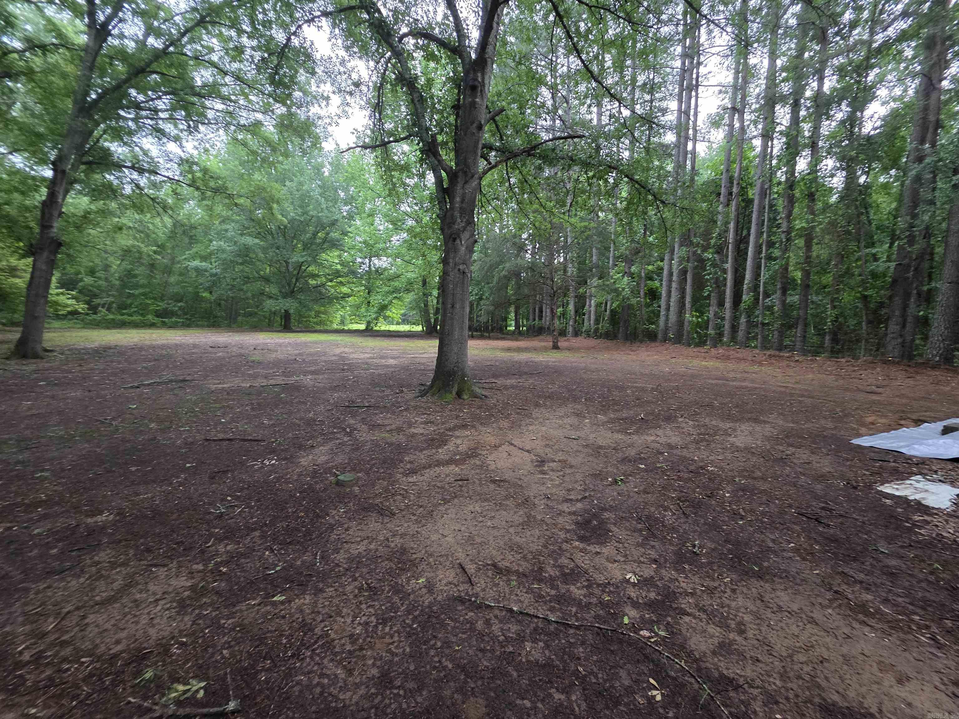 249  Mud Cat  Heber Springs, AR
