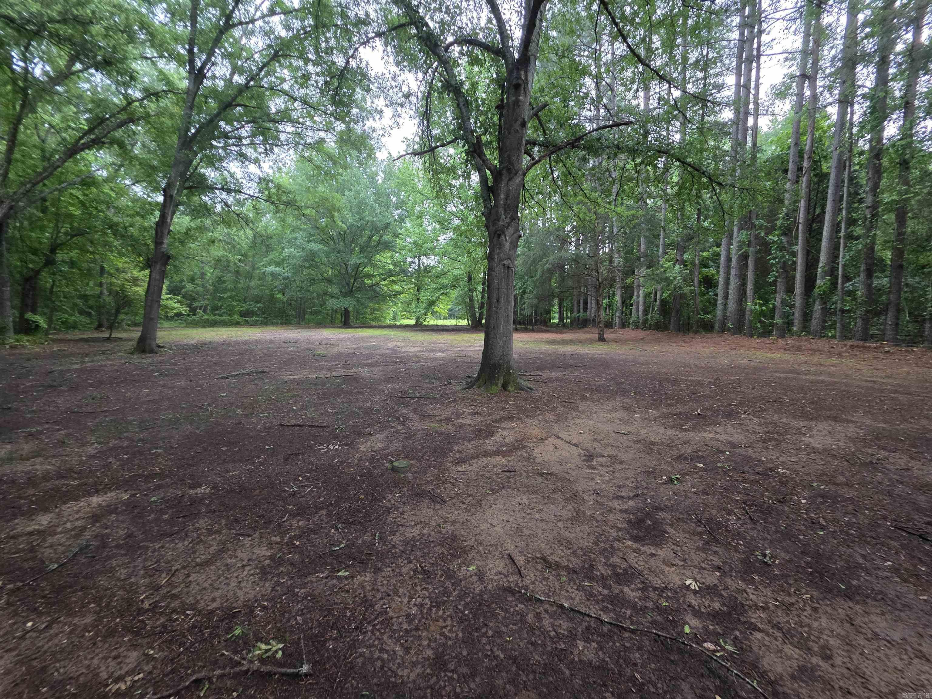 249  Mud Cat  Heber Springs, AR