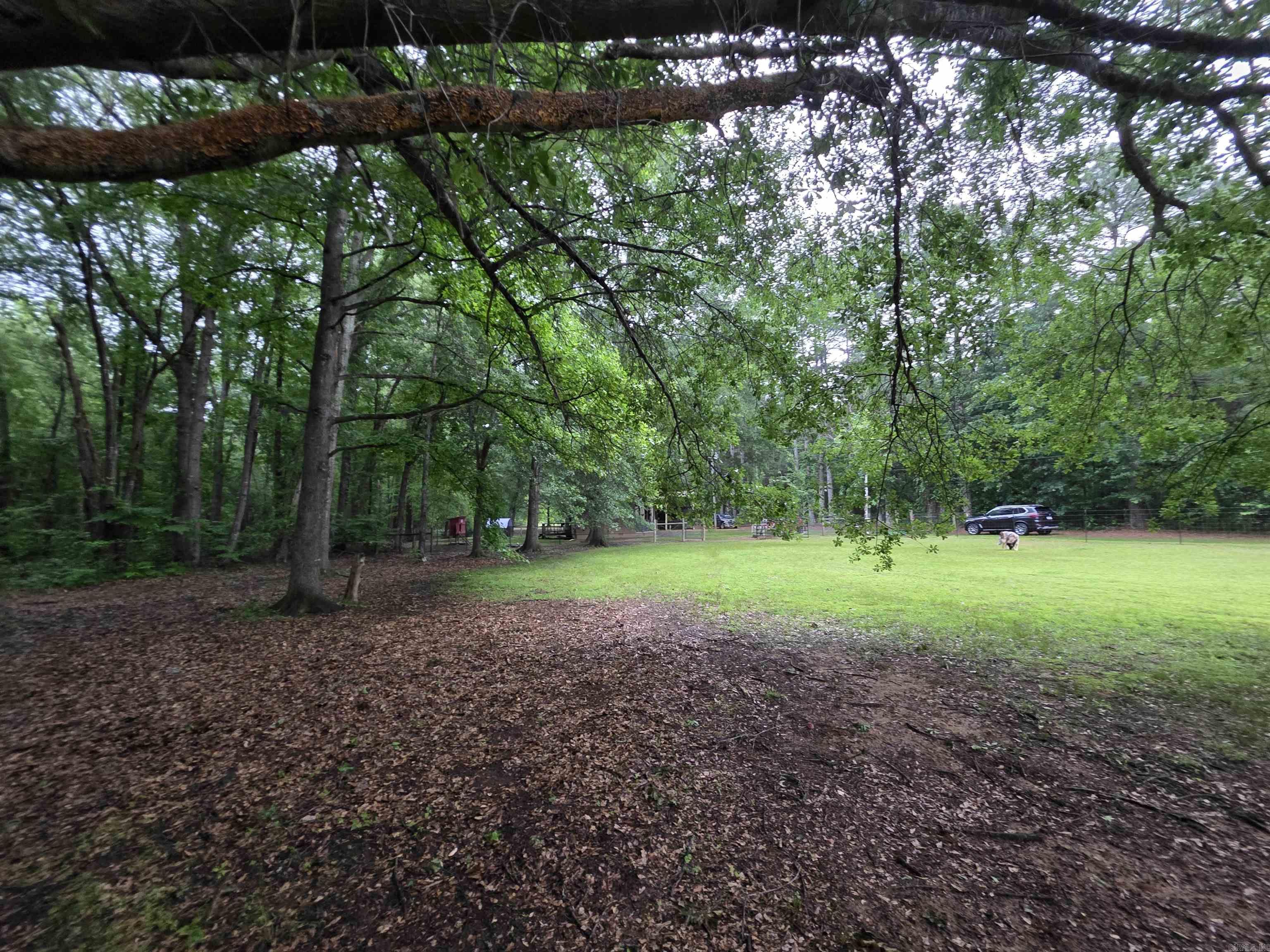 249  Mud Cat  Heber Springs, AR