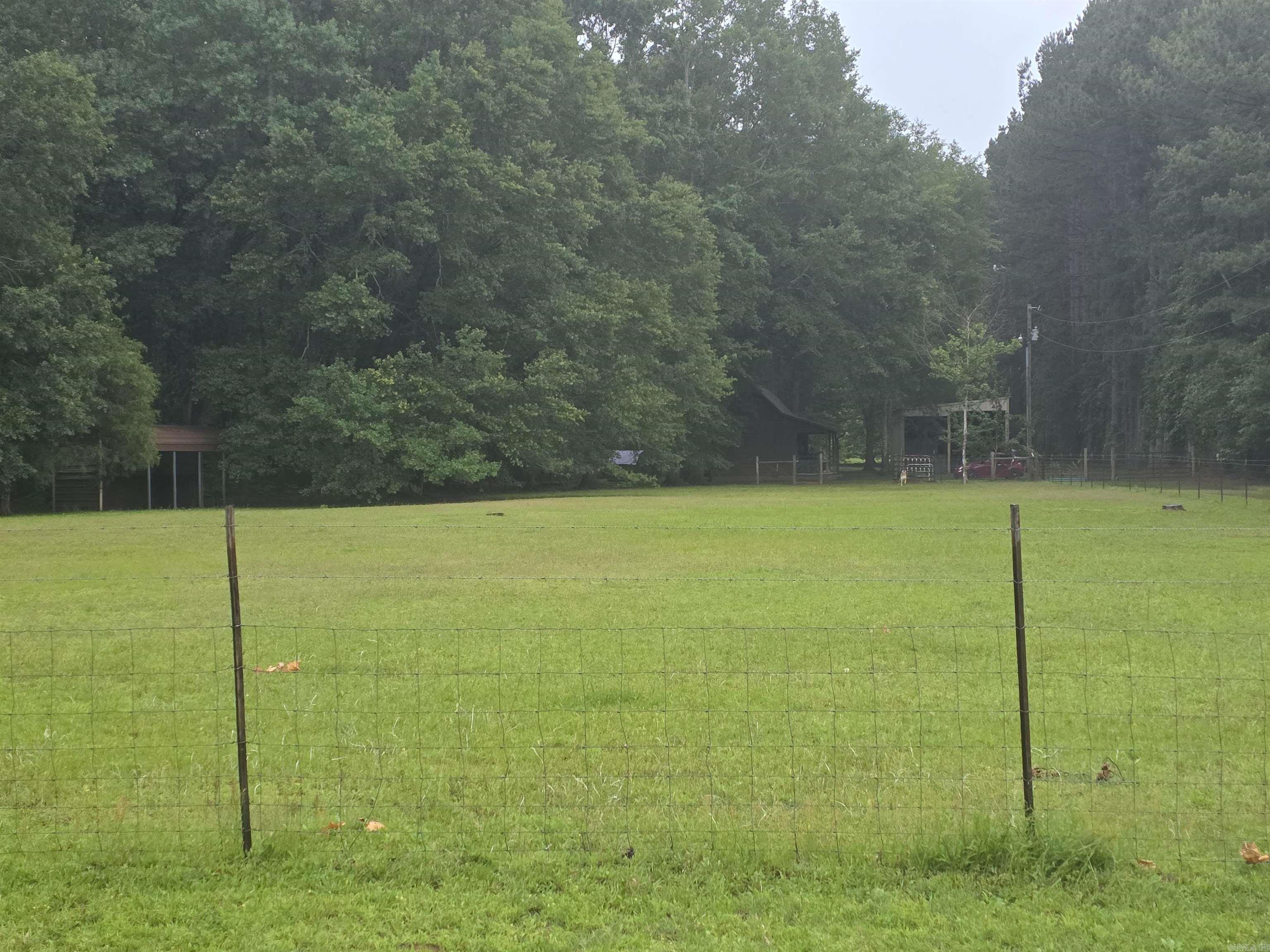249  Mud Cat  Heber Springs, AR