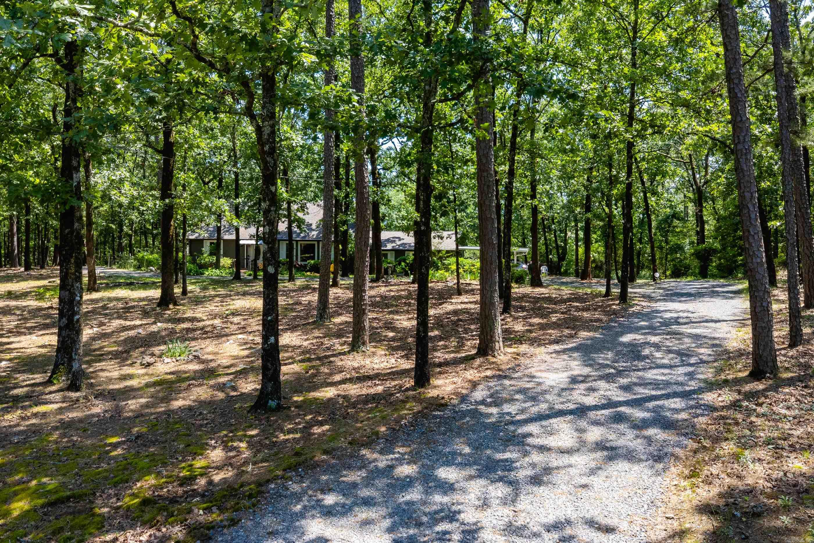 20603  River Vista  Roland, AR